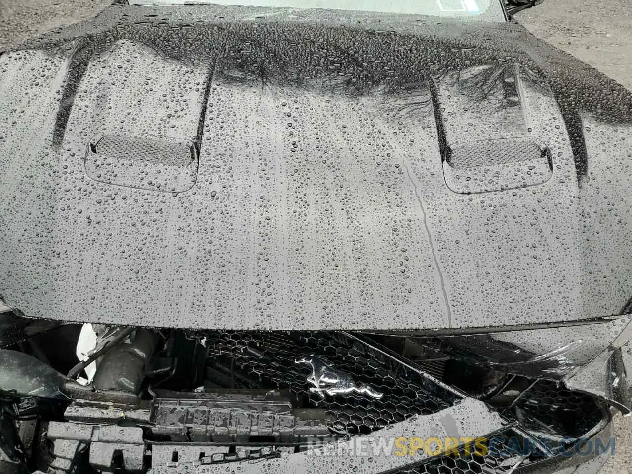11 fotografías del automóvil dañado 1FA6P8CFXP5304296 FORD MUSTANG 2023
