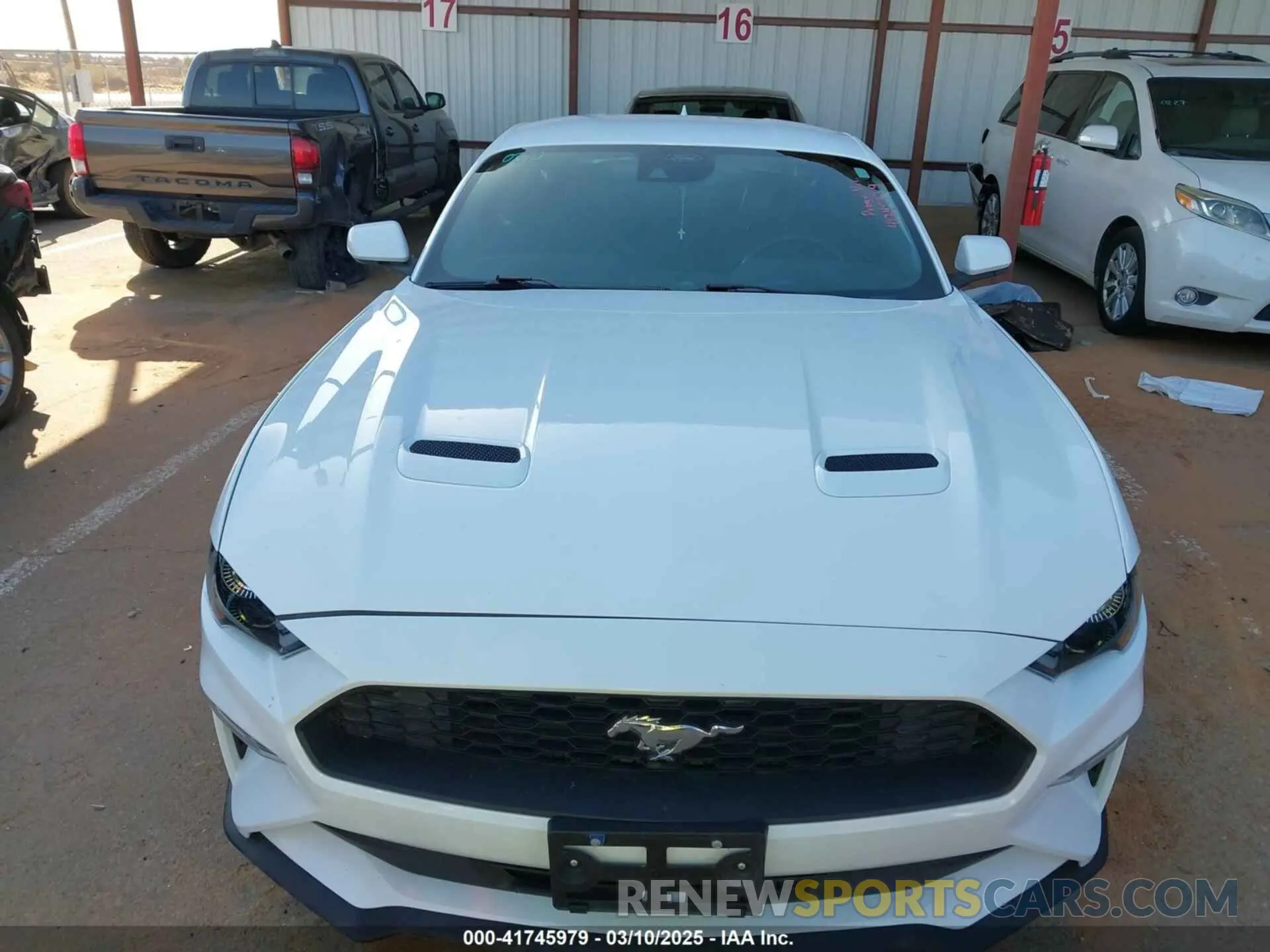12 fotografías del automóvil dañado 1FA6P8TH2P5110671 FORD MUSTANG 2023