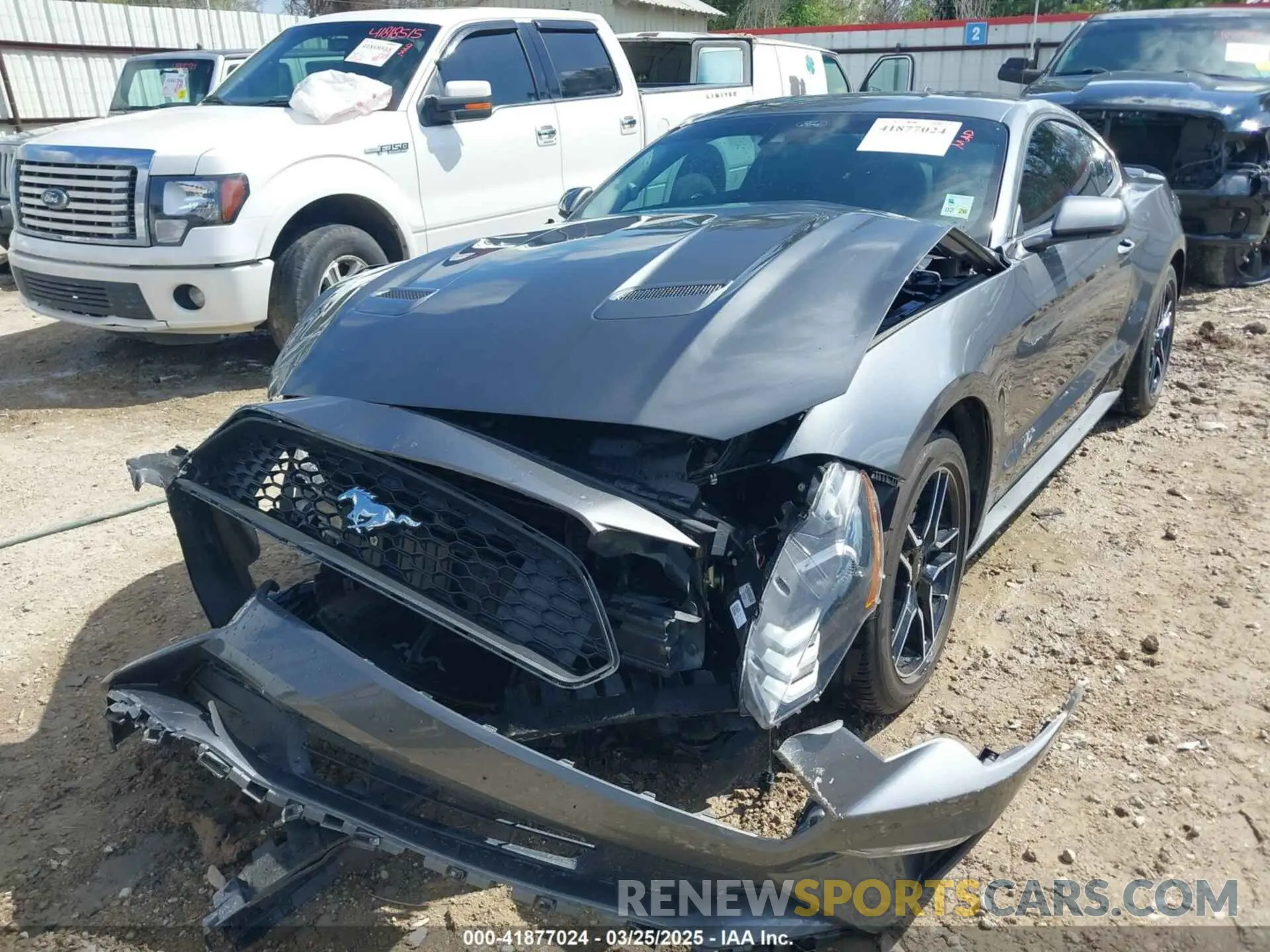 6 fotografías del automóvil dañado 1FA6P8TH6P5105487 FORD MUSTANG 2023
