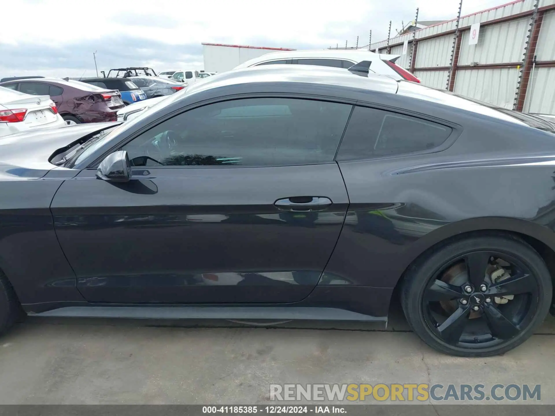 14 fotografías del automóvil dañado 1FA6P8TH6P5105960 FORD MUSTANG 2023