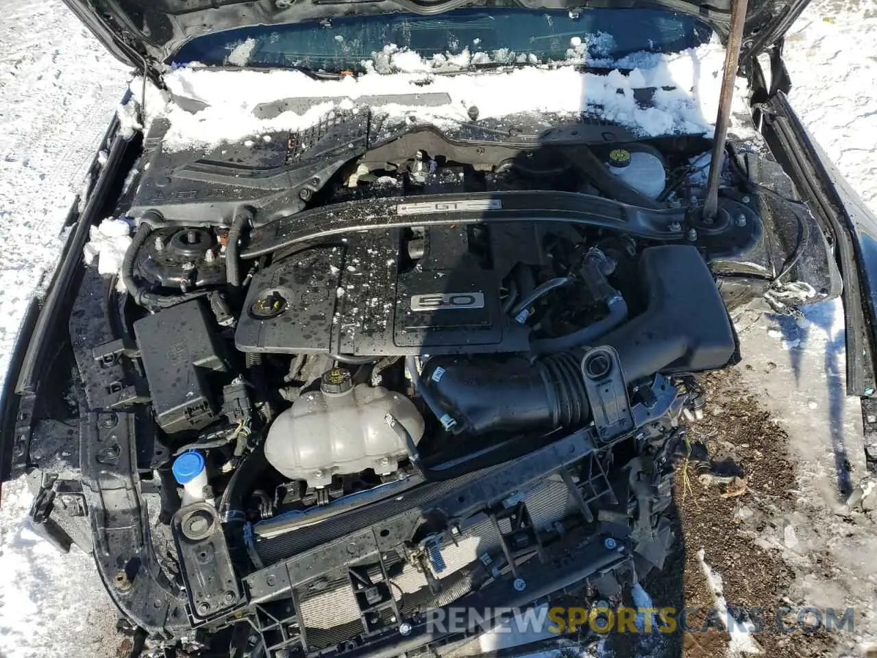 11 fotografías del automóvil dañado 1FATP8FF1P5107208 FORD MUSTANG 2023