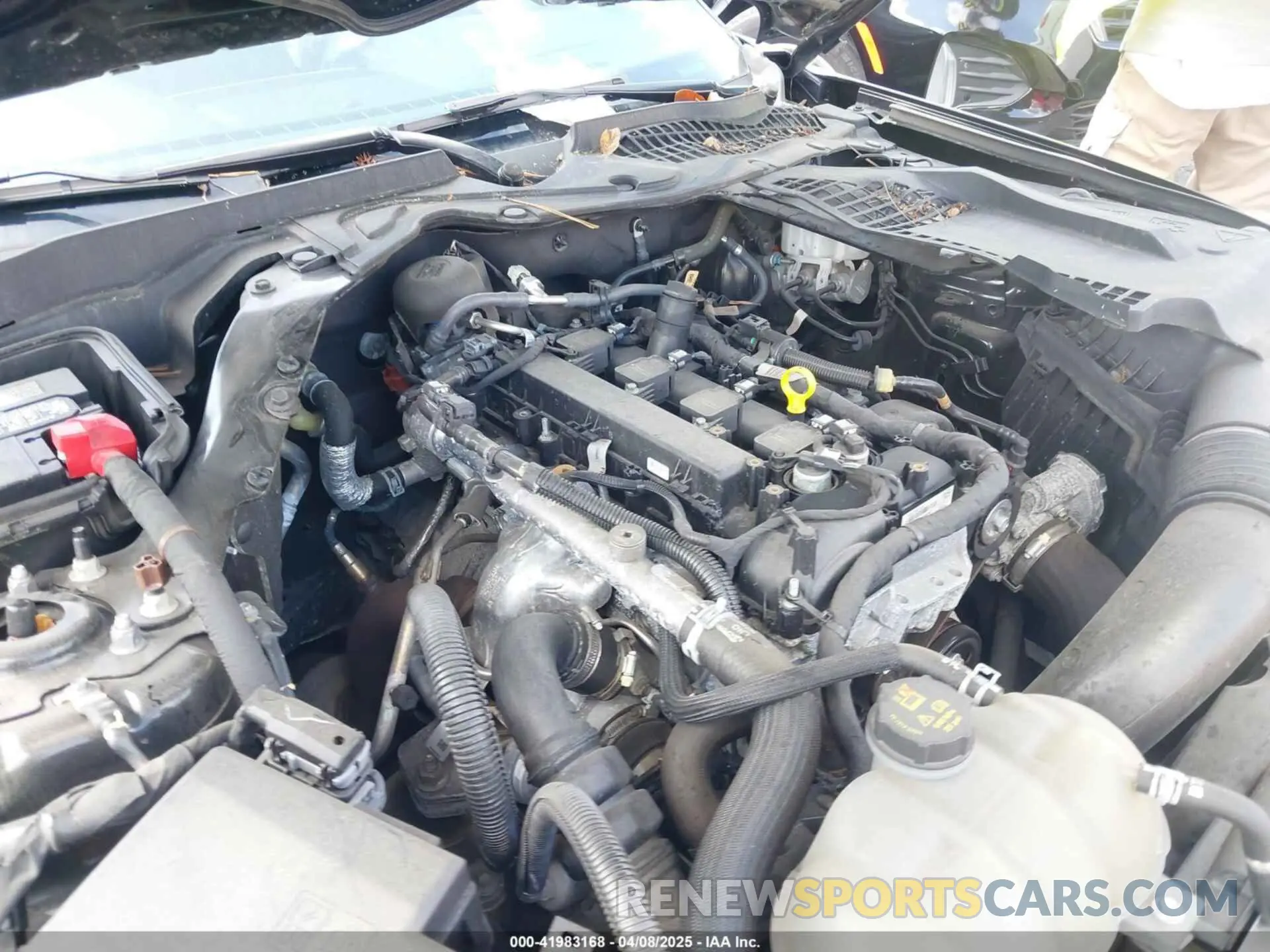10 fotografías del automóvil dañado 1FATP8UH6P5105295 FORD MUSTANG 2023