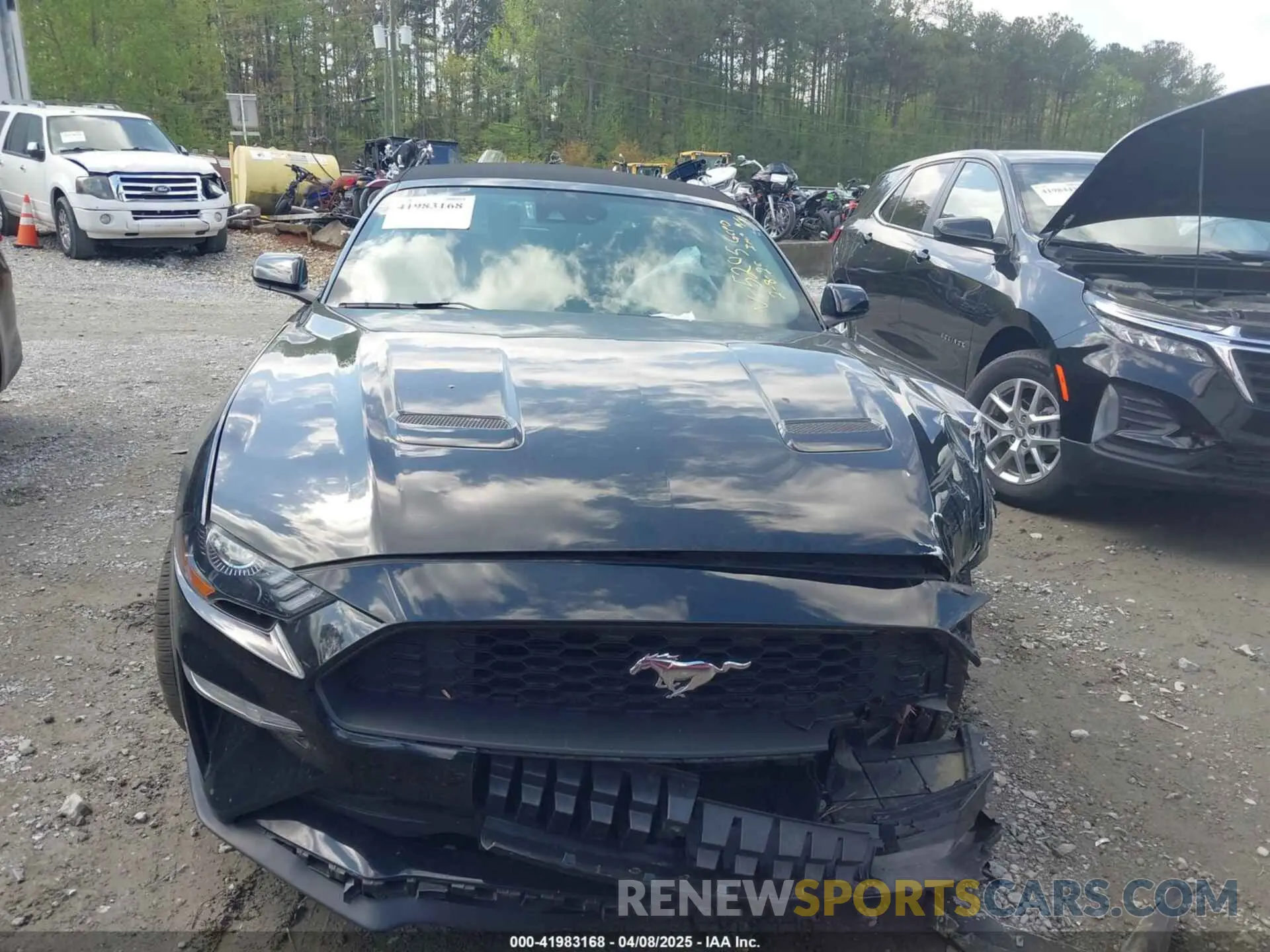 12 fotografías del automóvil dañado 1FATP8UH6P5105295 FORD MUSTANG 2023
