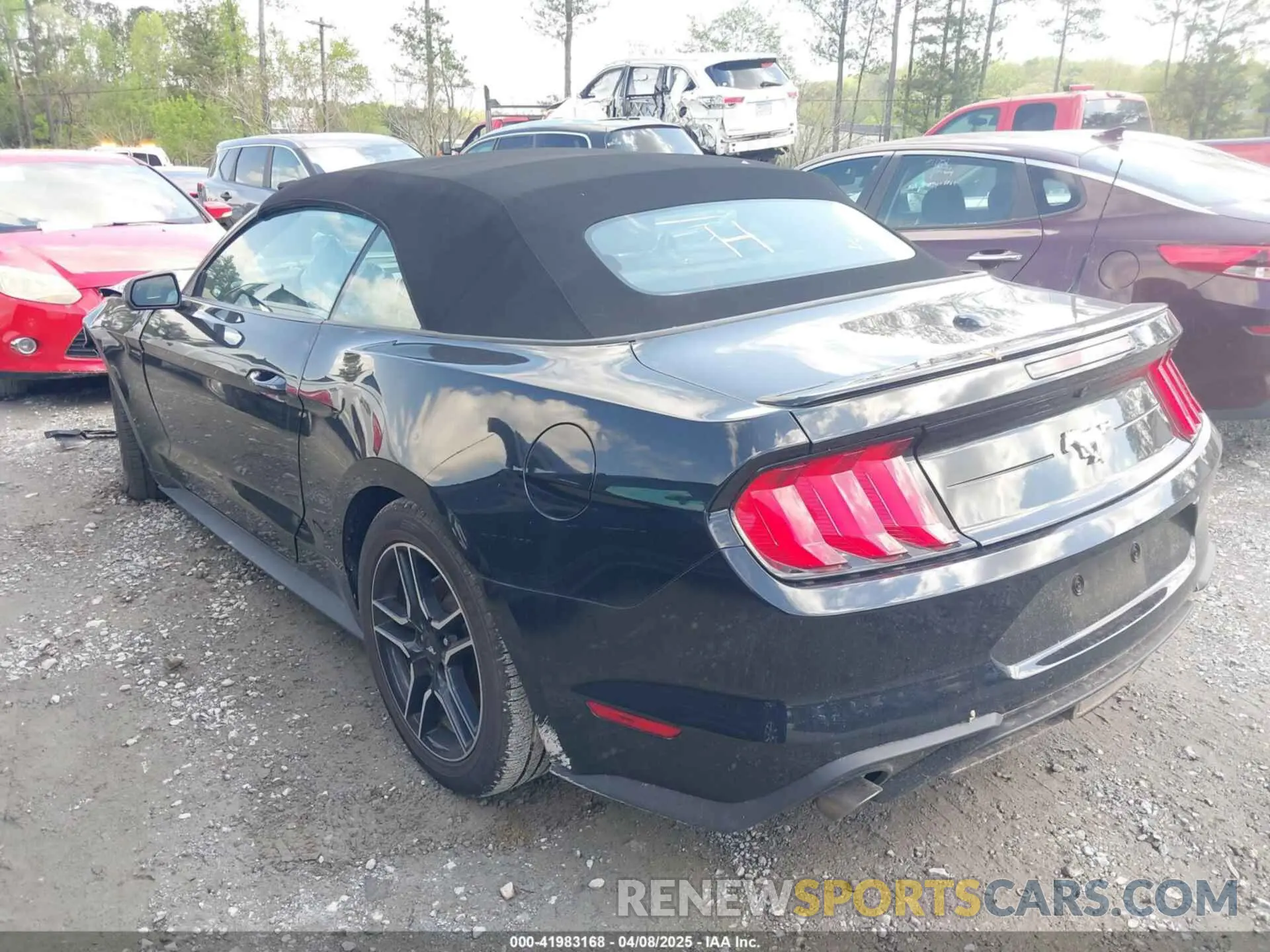 14 fotografías del automóvil dañado 1FATP8UH6P5105295 FORD MUSTANG 2023