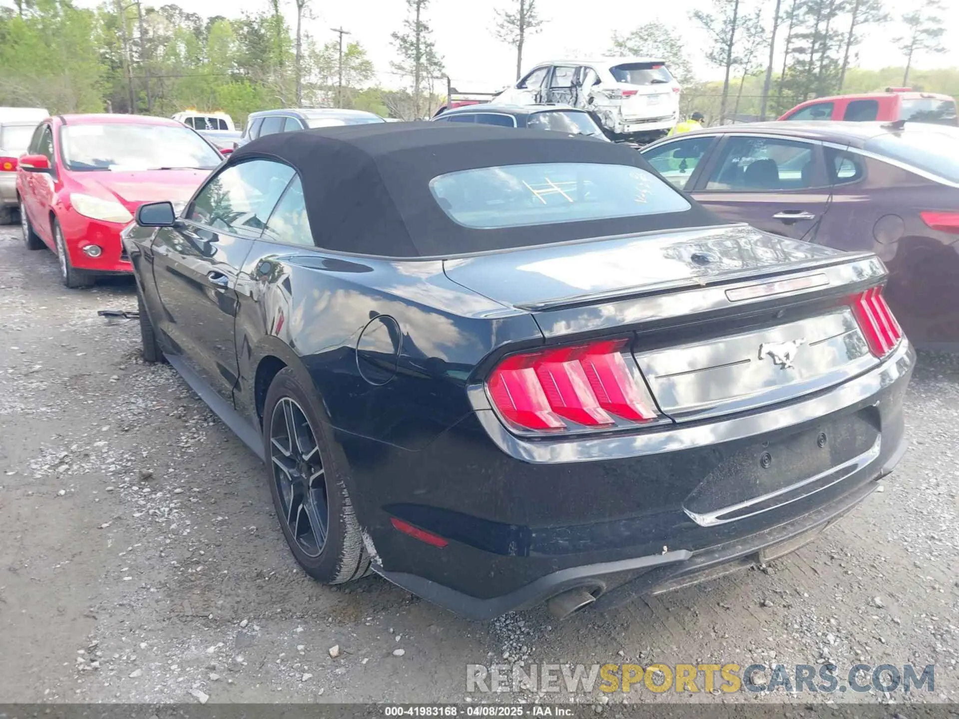 3 fotografías del automóvil dañado 1FATP8UH6P5105295 FORD MUSTANG 2023