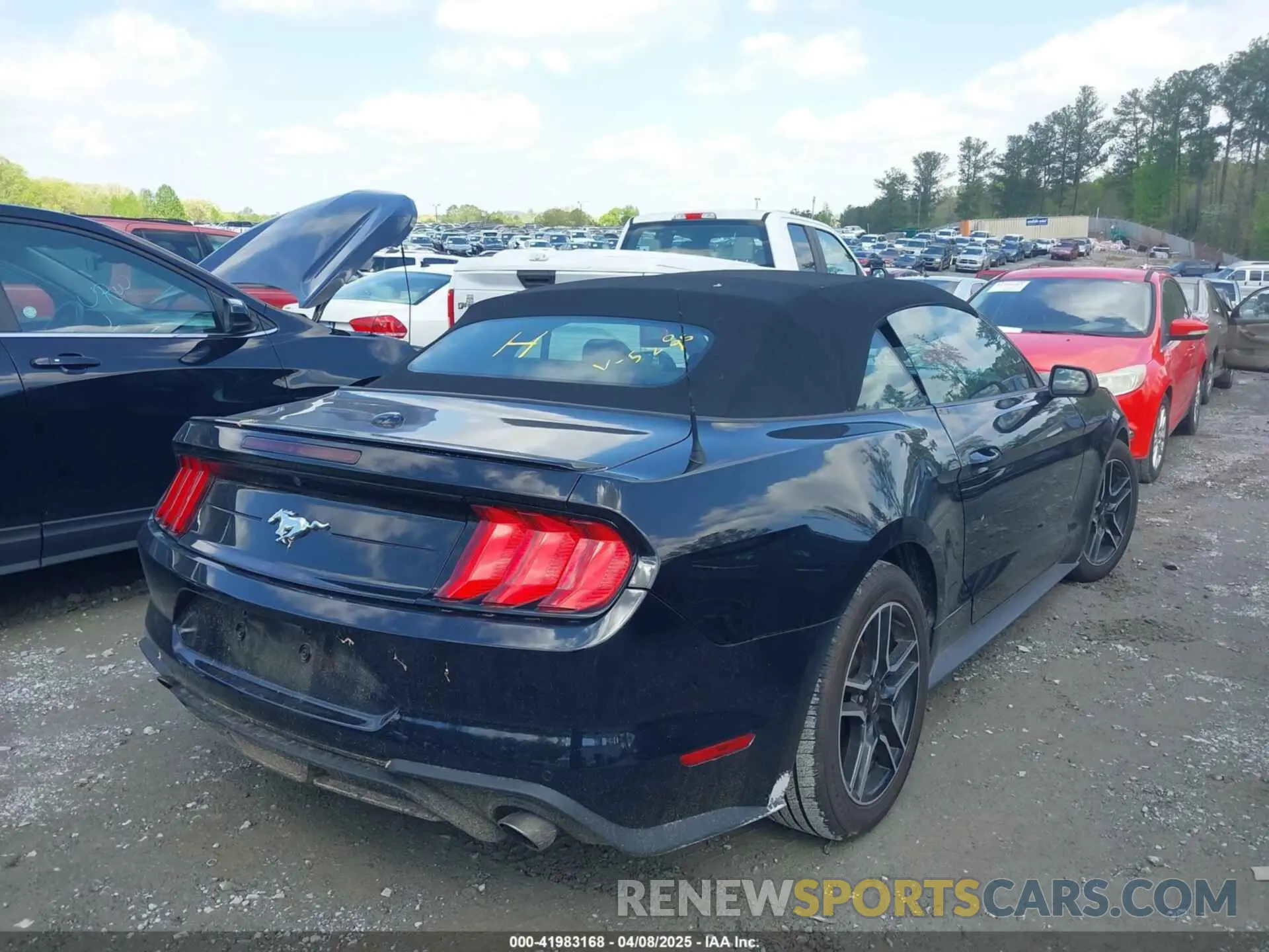 4 fotografías del automóvil dañado 1FATP8UH6P5105295 FORD MUSTANG 2023