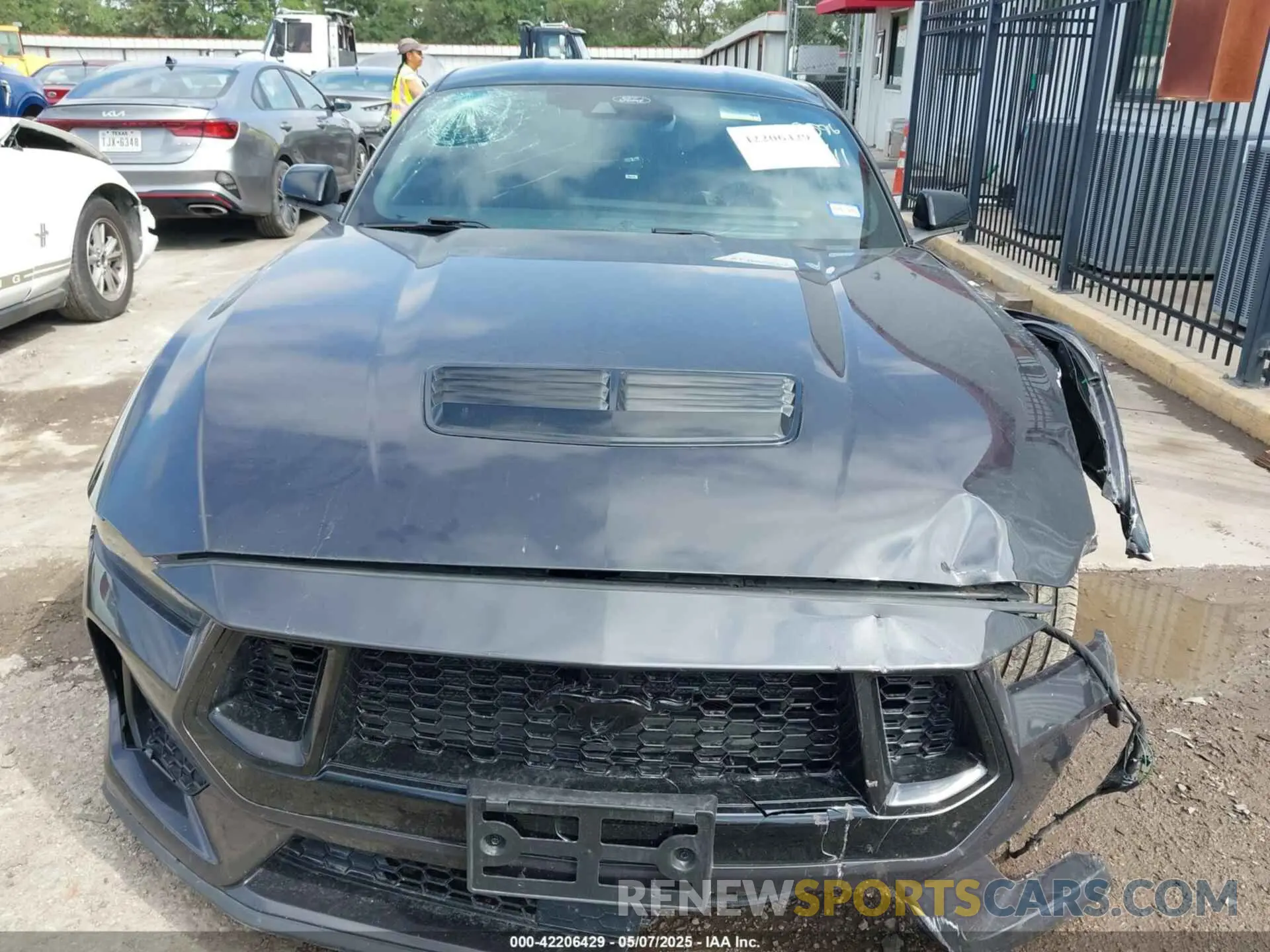 13 fotografías del automóvil dañado 1FA6P8CF0R5411098 FORD MUSTANG 2024