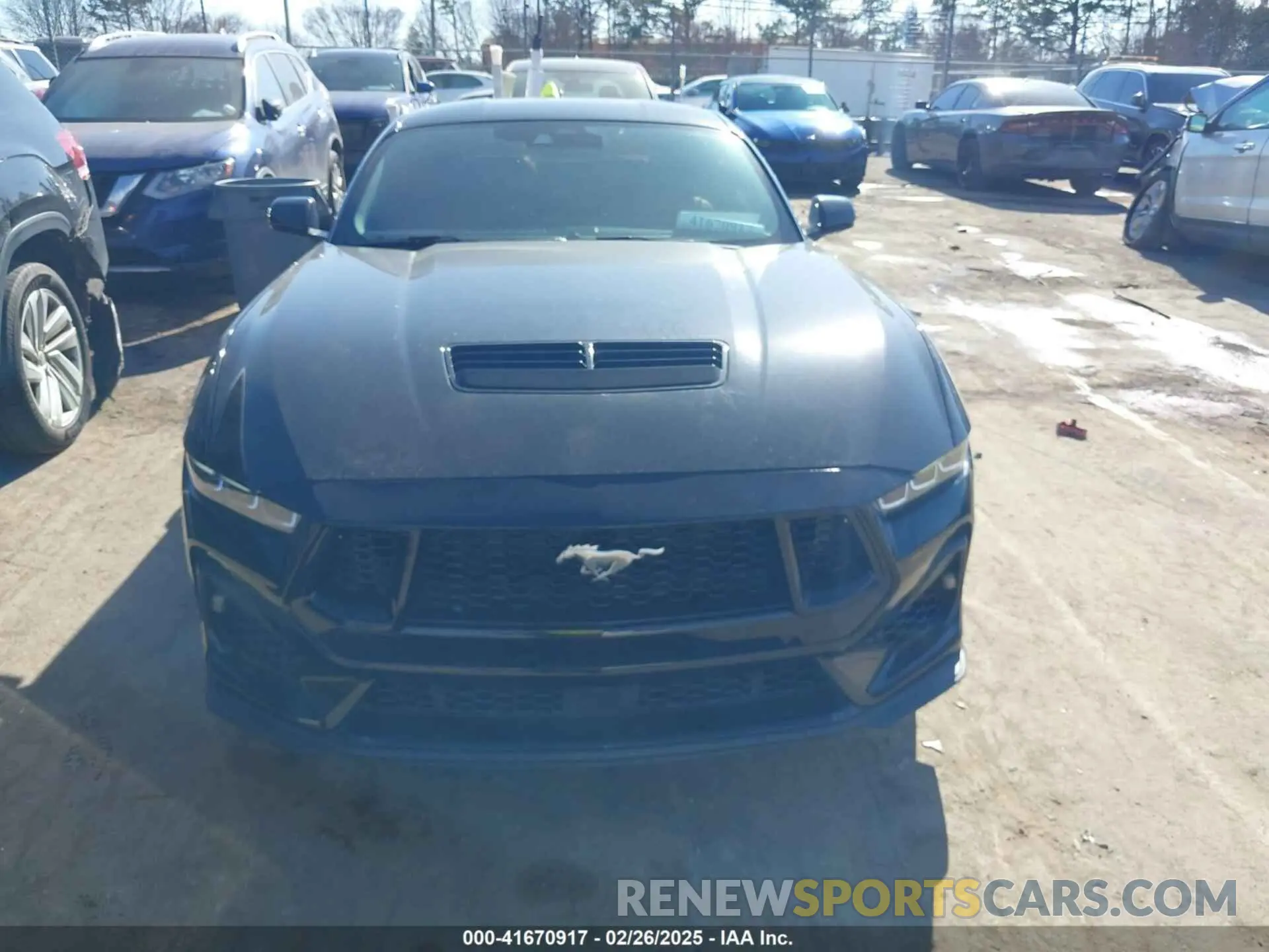 12 fotografías del automóvil dañado 1FA6P8CF1R5404032 FORD MUSTANG 2024