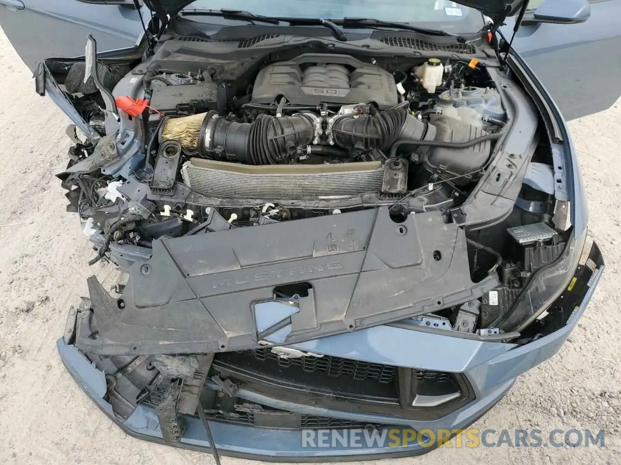 13 fotografías del automóvil dañado 1FA6P8CF2R5412060 FORD MUSTANG 2024