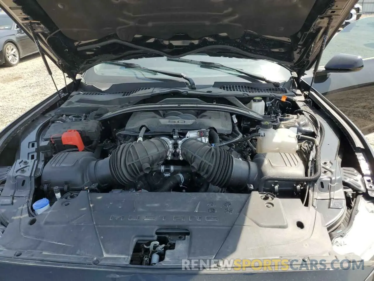 13 fotografías del automóvil dañado 1FA6P8CF3R5421107 FORD MUSTANG 2024