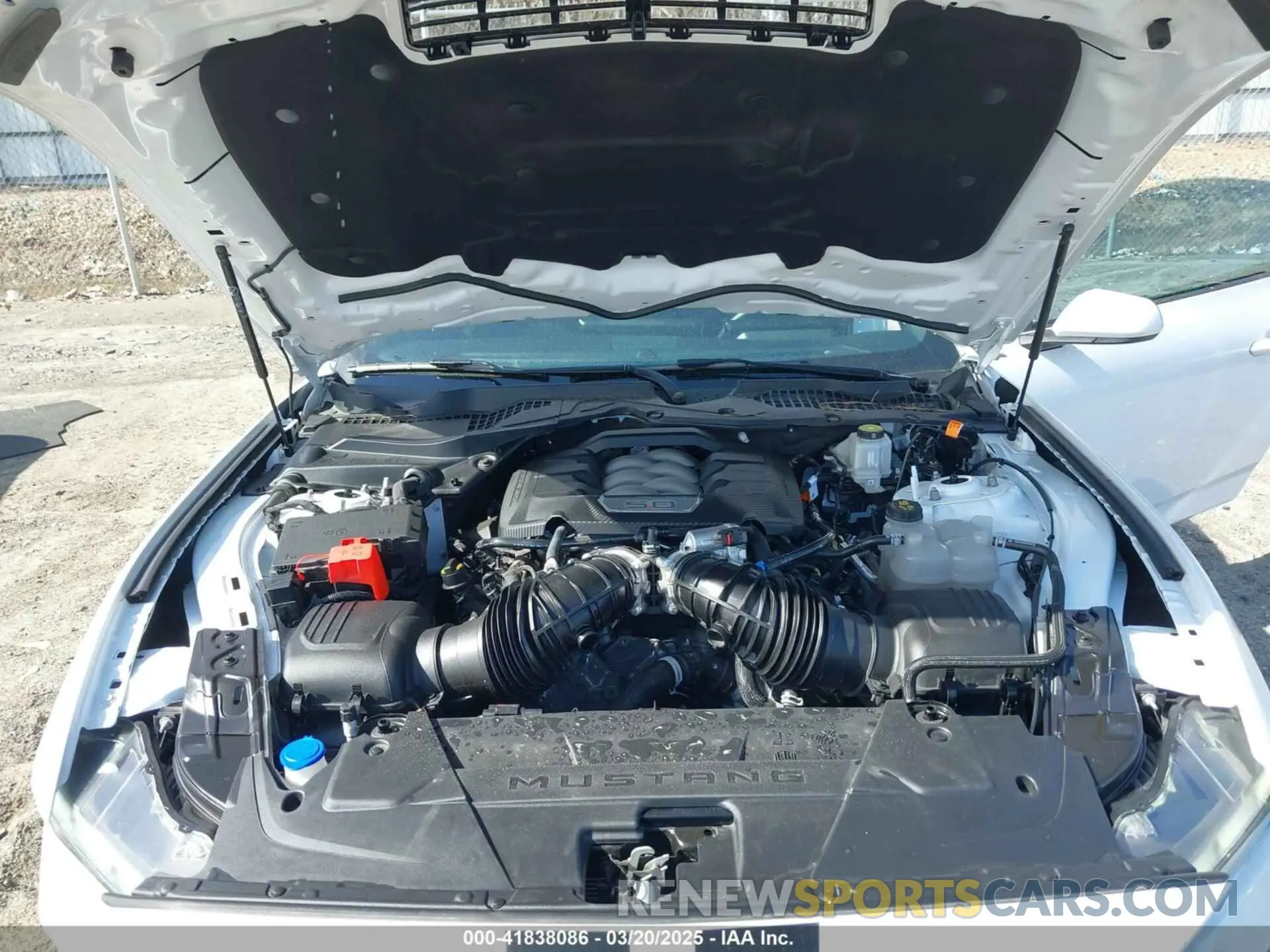 10 fotografías del automóvil dañado 1FA6P8CF4R5411654 FORD MUSTANG 2024