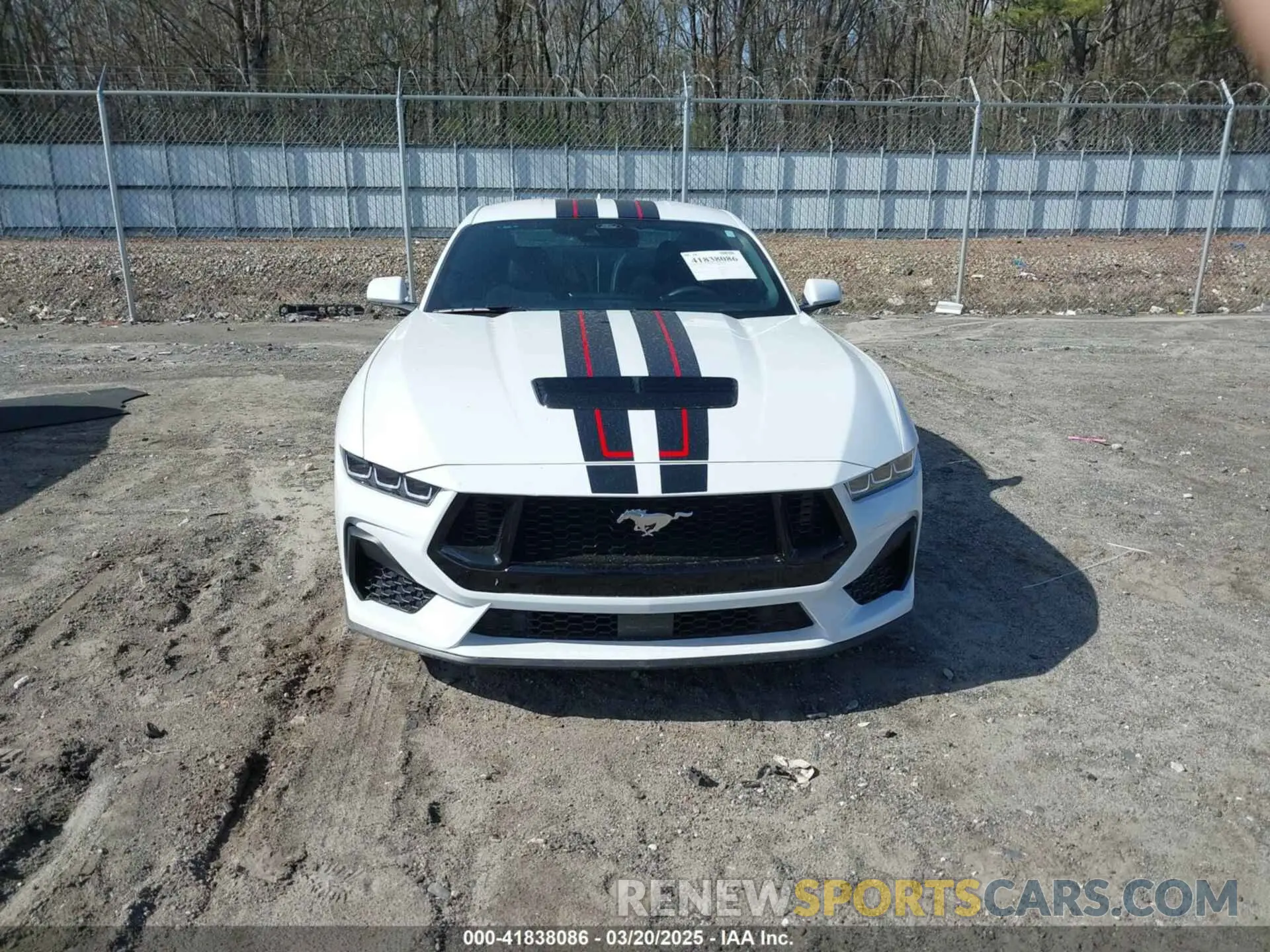 12 fotografías del automóvil dañado 1FA6P8CF4R5411654 FORD MUSTANG 2024