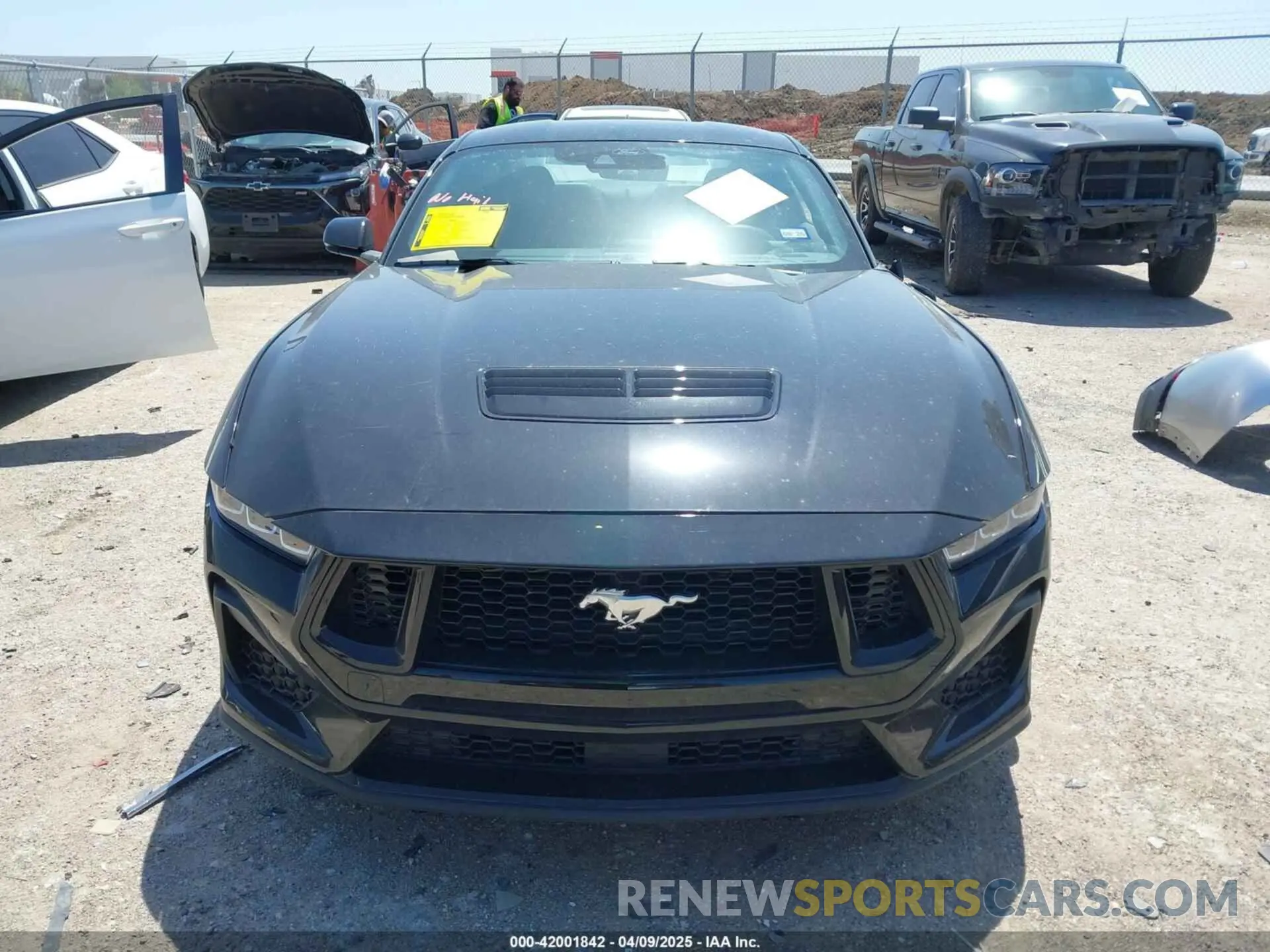 12 fotografías del automóvil dañado 1FA6P8CF4R5421522 FORD MUSTANG 2024