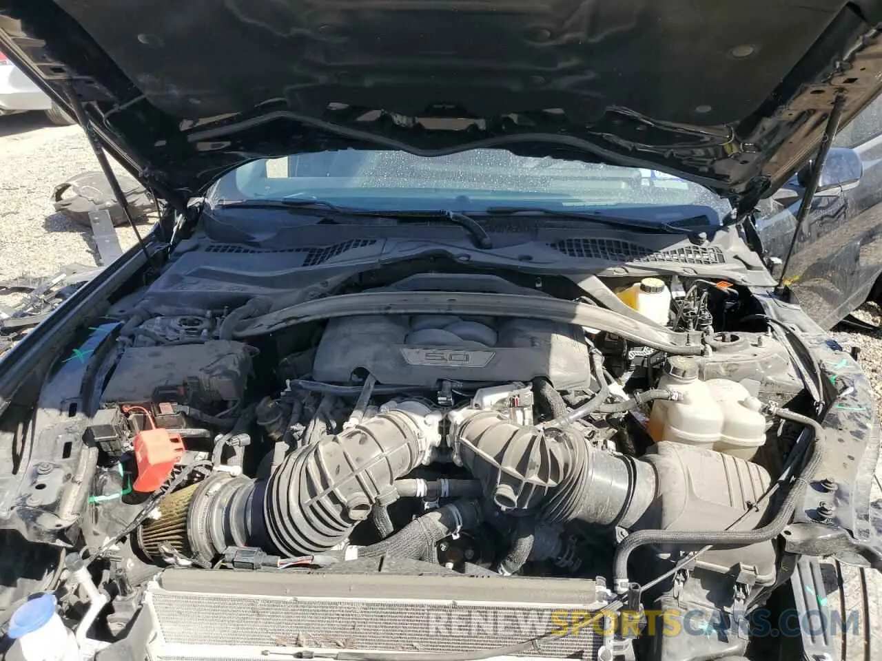 11 fotografías del automóvil dañado 1FA6P8CF5R5402929 FORD MUSTANG 2024
