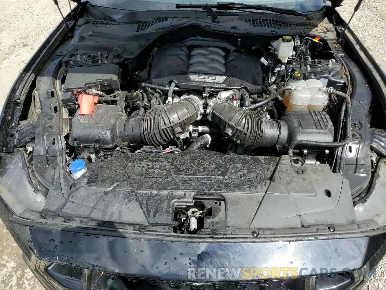 11 fotografías del automóvil dañado 1FA6P8CF7R5428738 FORD MUSTANG 2024