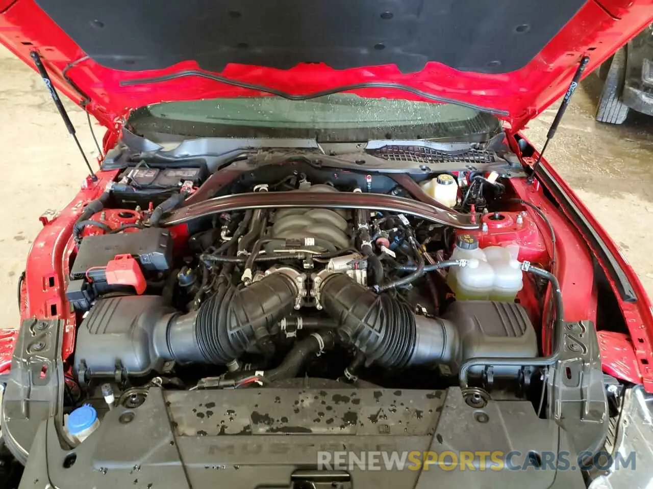 11 fotografías del automóvil dañado 1FA6P8CF7R5429775 FORD MUSTANG 2024