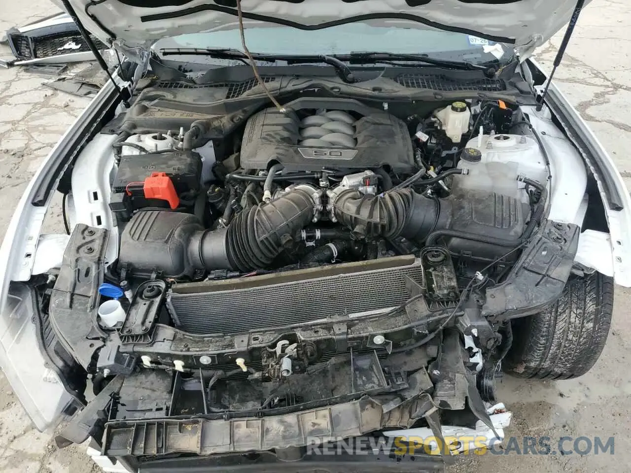 13 fotografías del automóvil dañado 1FA6P8CF8R5428697 FORD MUSTANG 2024