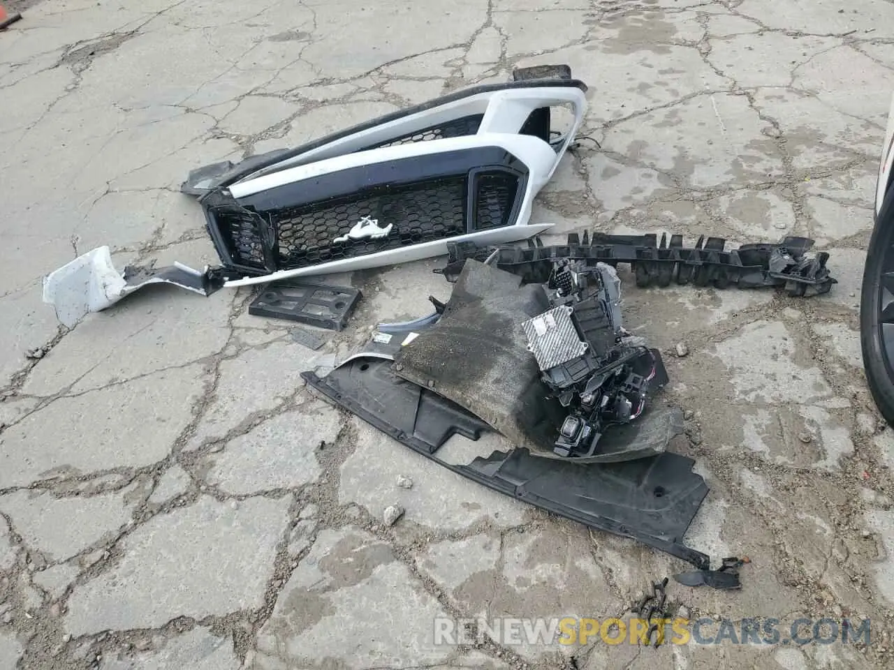 14 fotografías del automóvil dañado 1FA6P8CF8R5428697 FORD MUSTANG 2024
