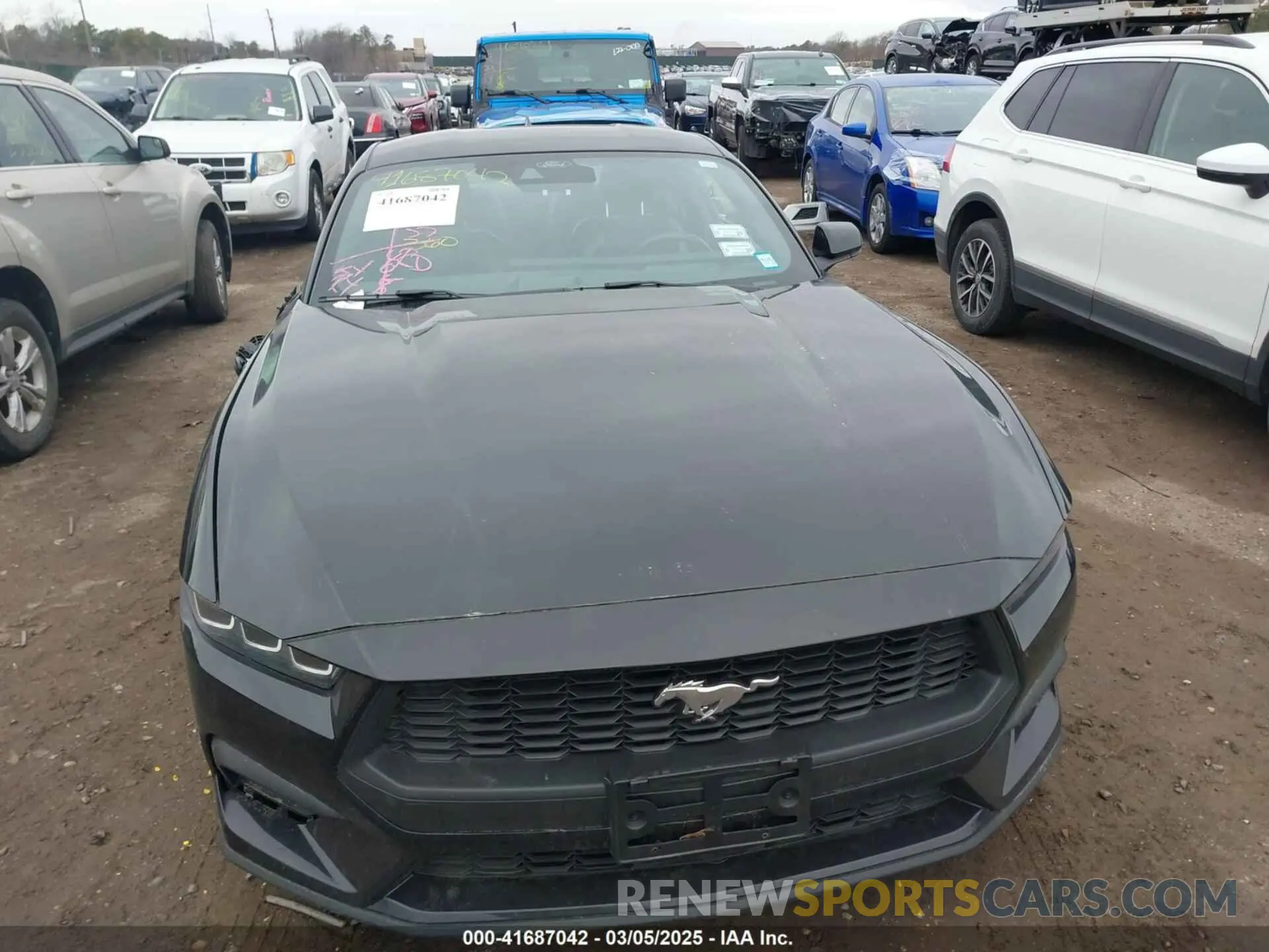 12 fotografías del automóvil dañado 1FA6P8TH0R5134826 FORD MUSTANG 2024
