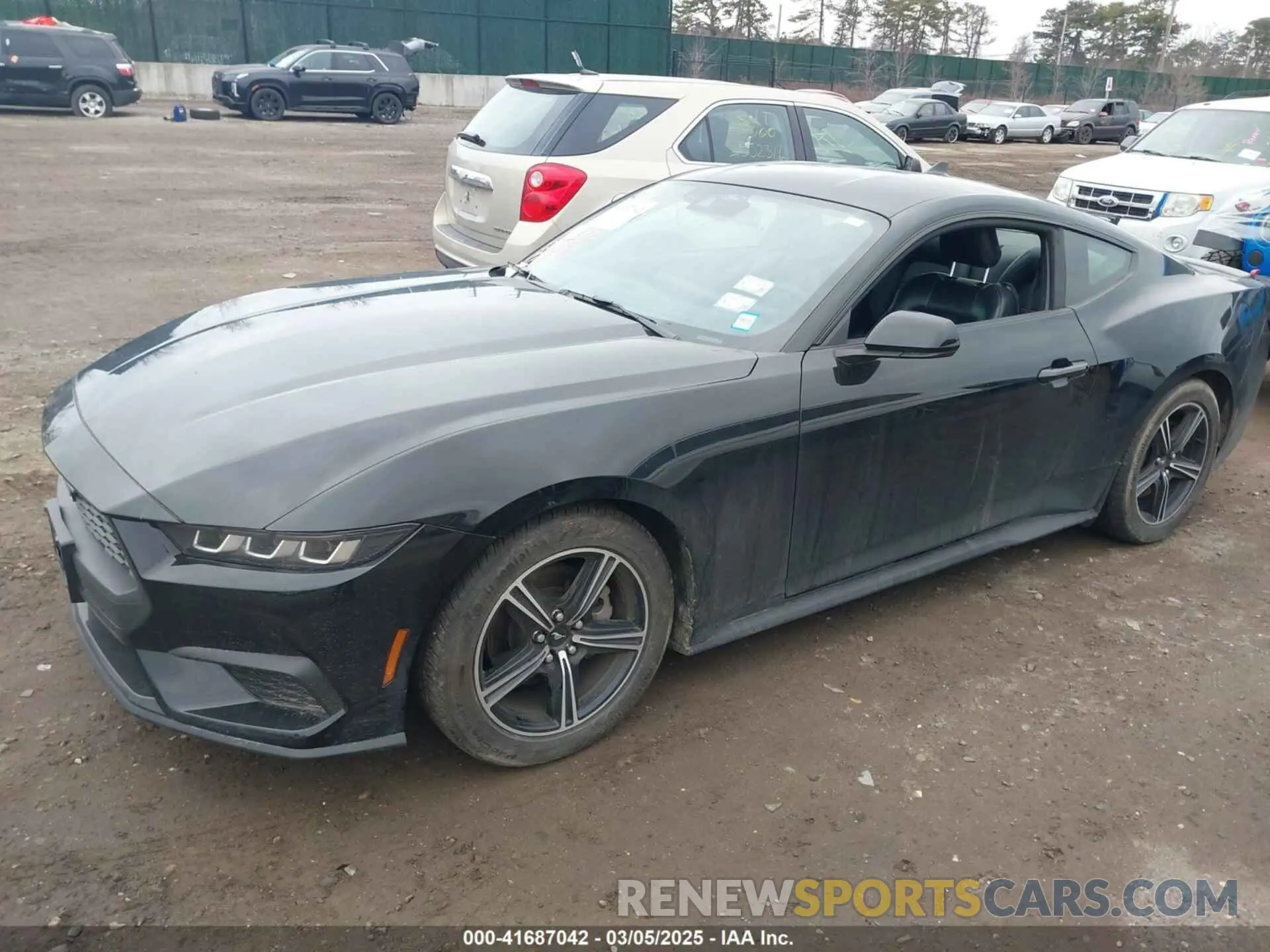 14 fotografías del automóvil dañado 1FA6P8TH0R5134826 FORD MUSTANG 2024
