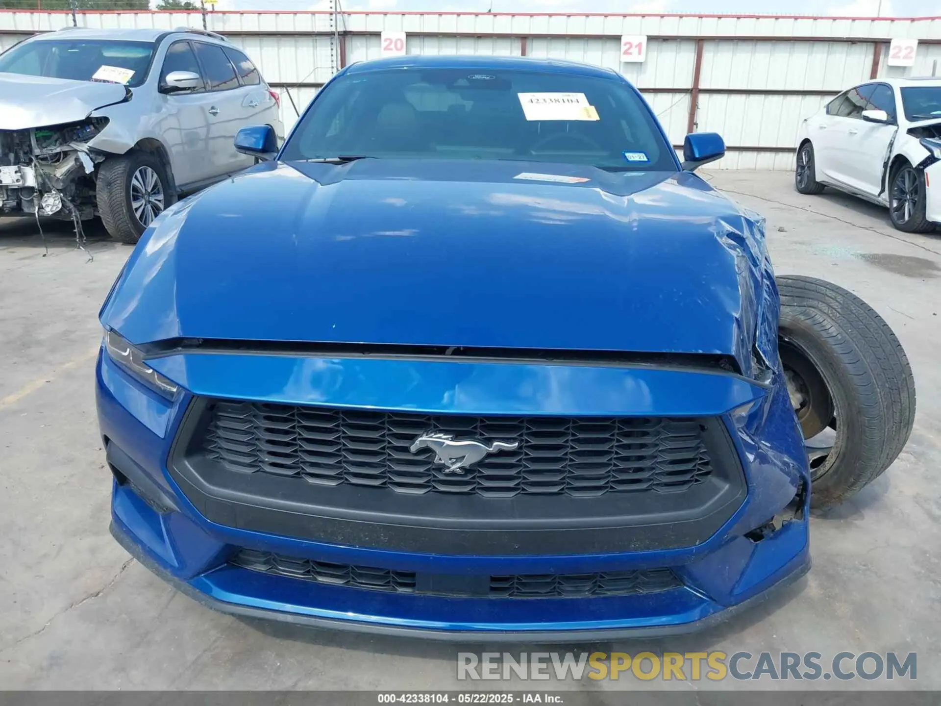 12 fotografías del automóvil dañado 1FA6P8TH0R5142067 FORD MUSTANG 2024
