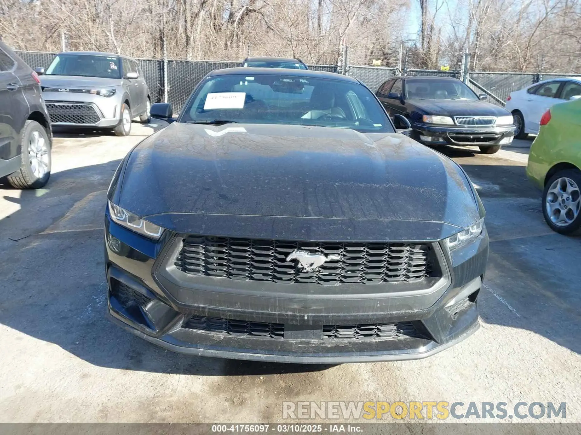 11 fotografías del automóvil dañado 1FA6P8TH1R5120532 FORD MUSTANG 2024