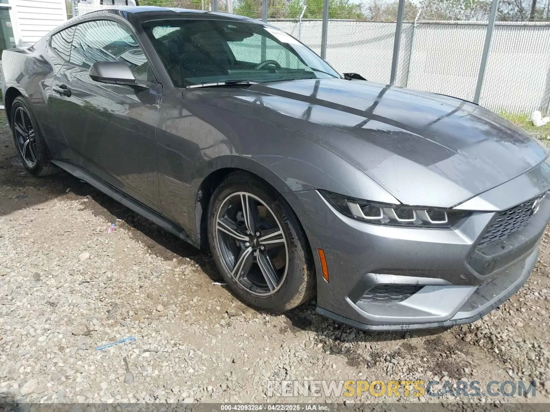 1 fotografías del automóvil dañado 1FA6P8TH1R5143311 FORD MUSTANG 2024