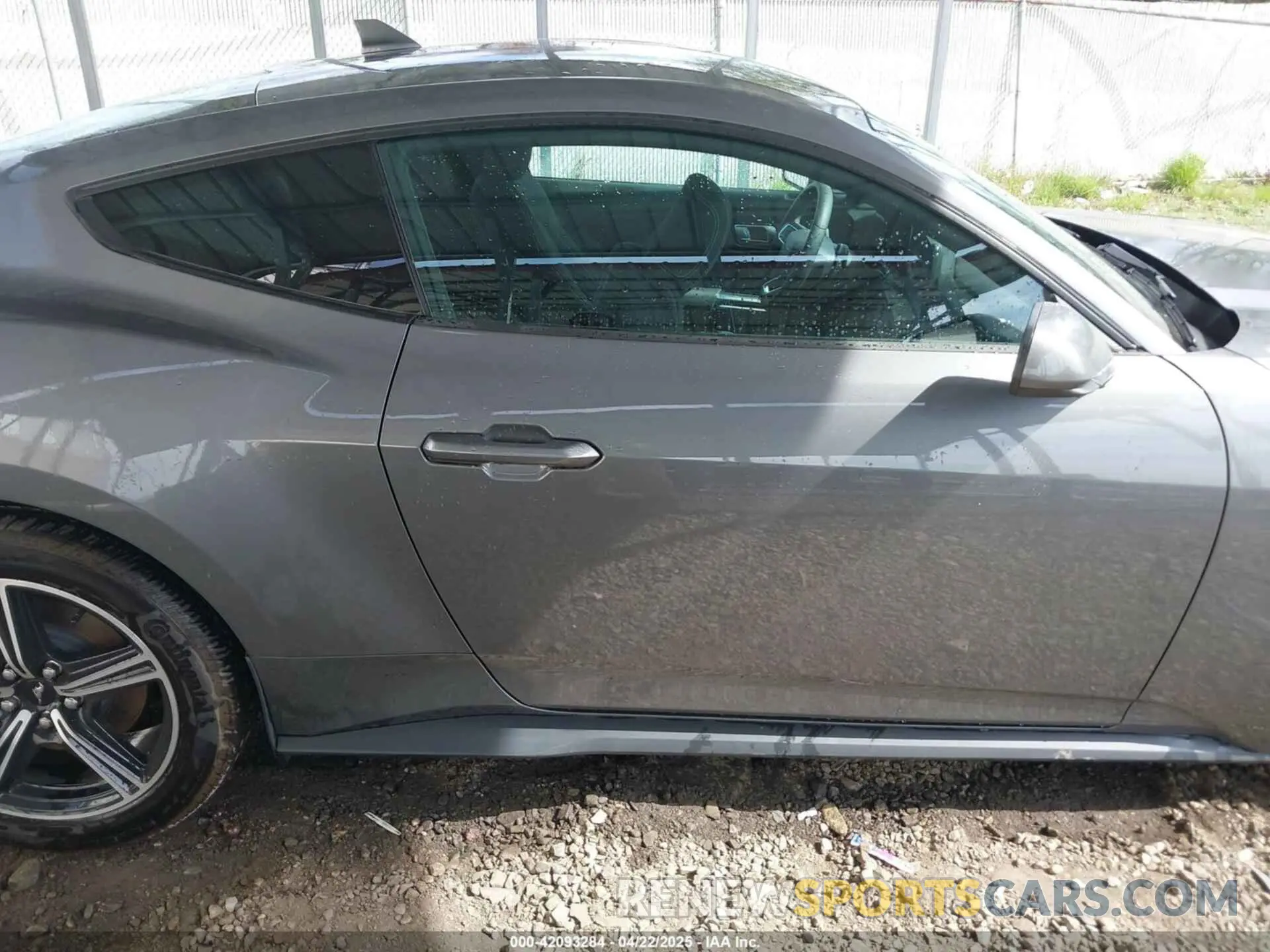 14 fotografías del automóvil dañado 1FA6P8TH1R5143311 FORD MUSTANG 2024