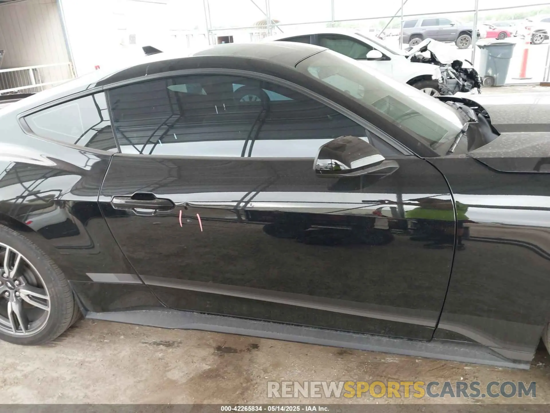 14 fotografías del automóvil dañado 1FA6P8TH2R5109961 FORD MUSTANG 2024