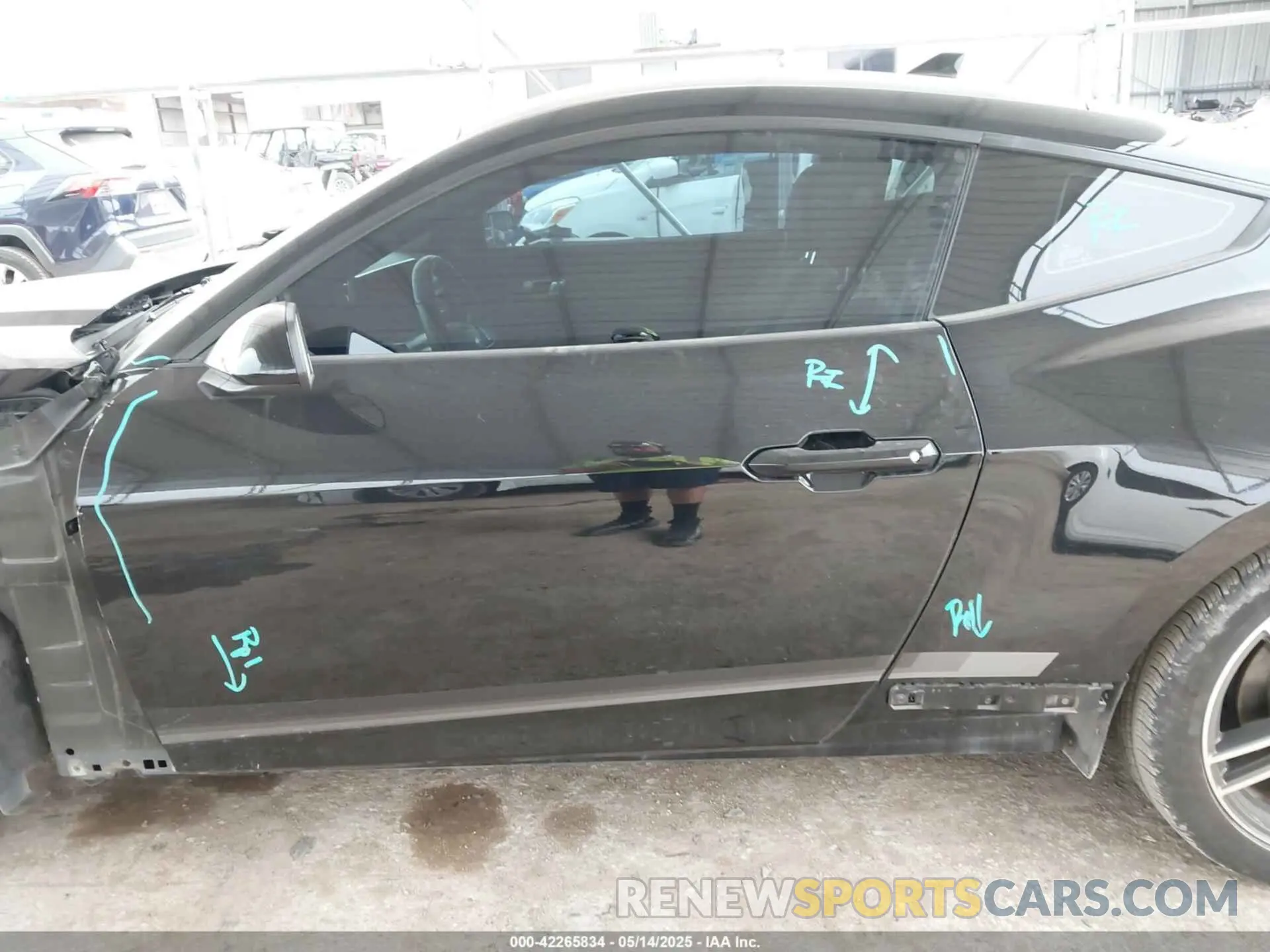 15 fotografías del automóvil dañado 1FA6P8TH2R5109961 FORD MUSTANG 2024