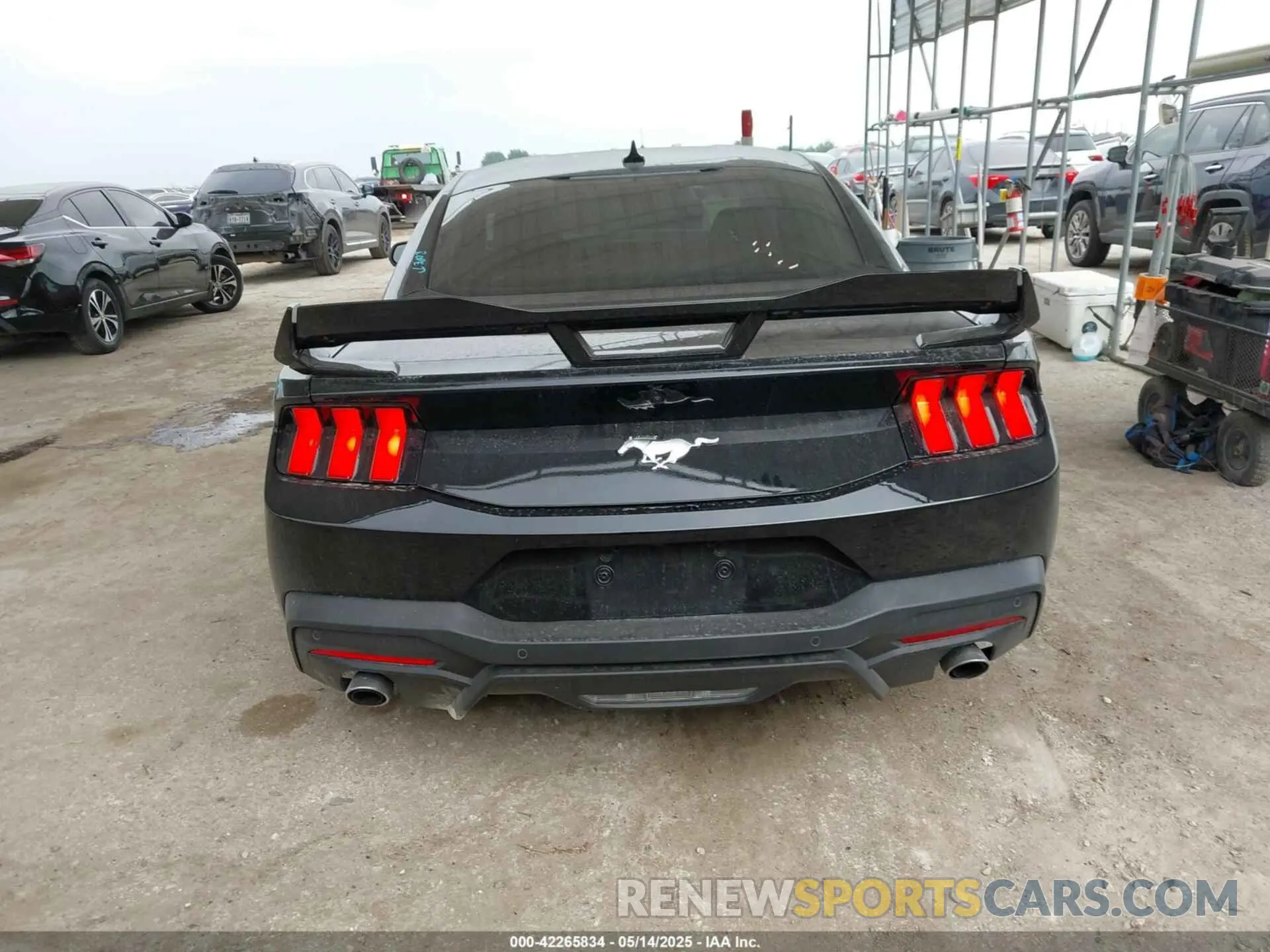 17 fotografías del automóvil dañado 1FA6P8TH2R5109961 FORD MUSTANG 2024
