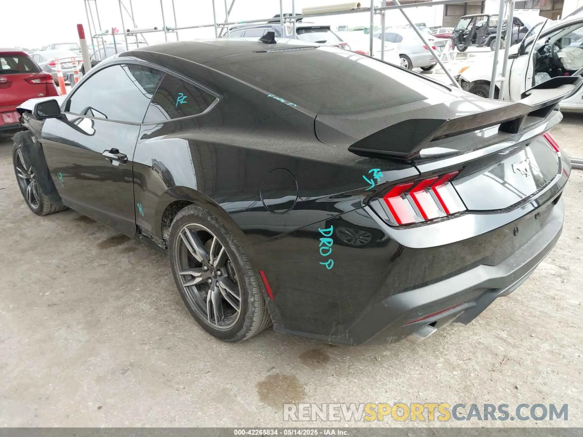 3 fotografías del automóvil dañado 1FA6P8TH2R5109961 FORD MUSTANG 2024