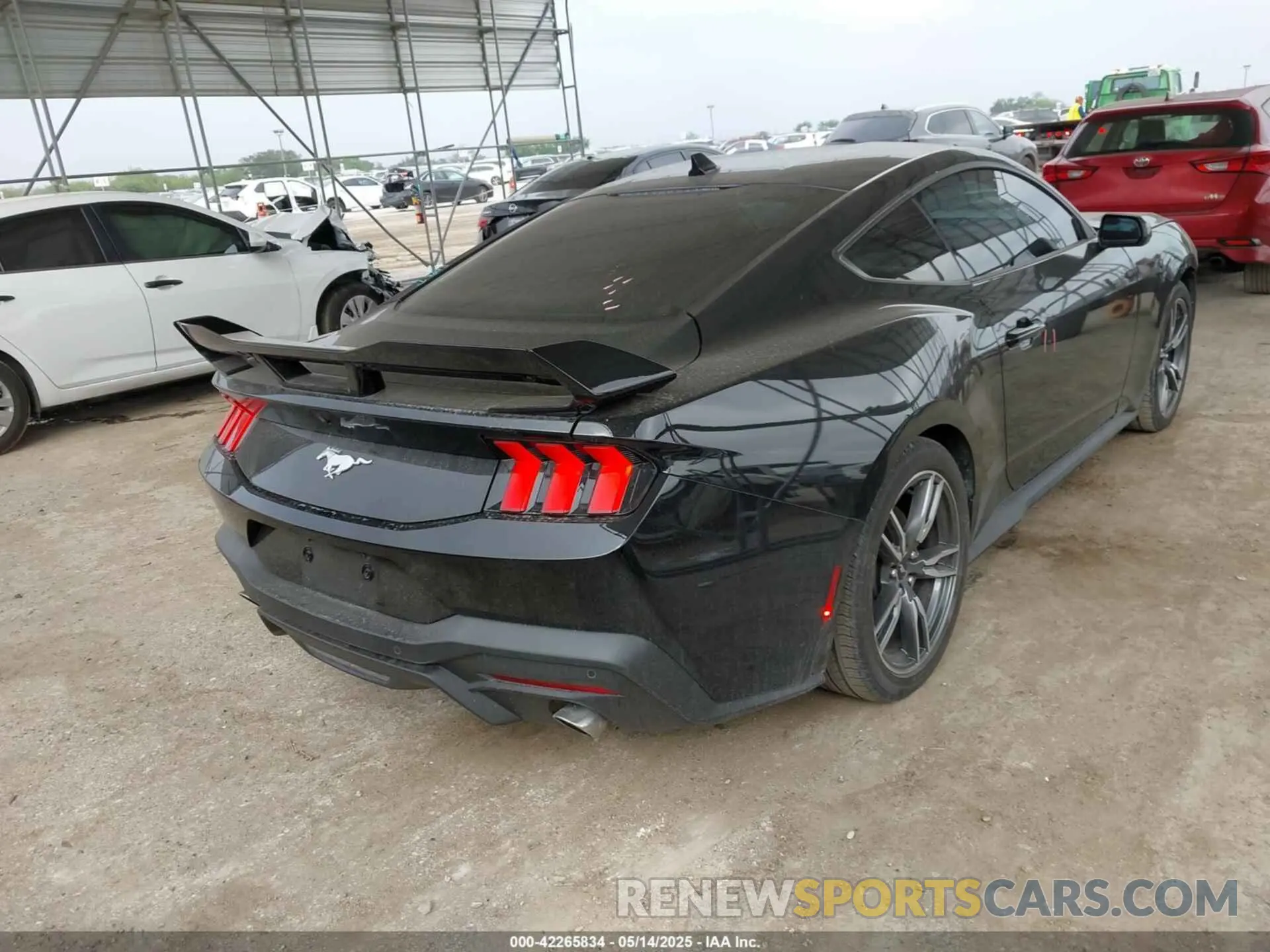 4 fotografías del automóvil dañado 1FA6P8TH2R5109961 FORD MUSTANG 2024