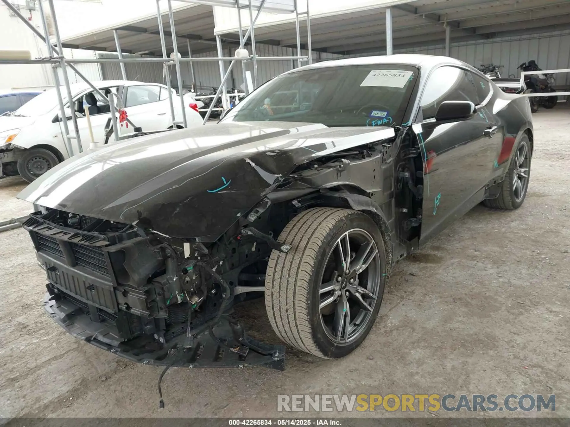 6 fotografías del automóvil dañado 1FA6P8TH2R5109961 FORD MUSTANG 2024