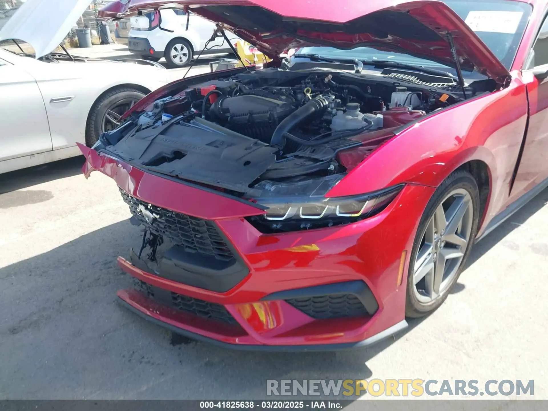 12 fotografías del automóvil dañado 1FA6P8TH2R5137890 FORD MUSTANG 2024