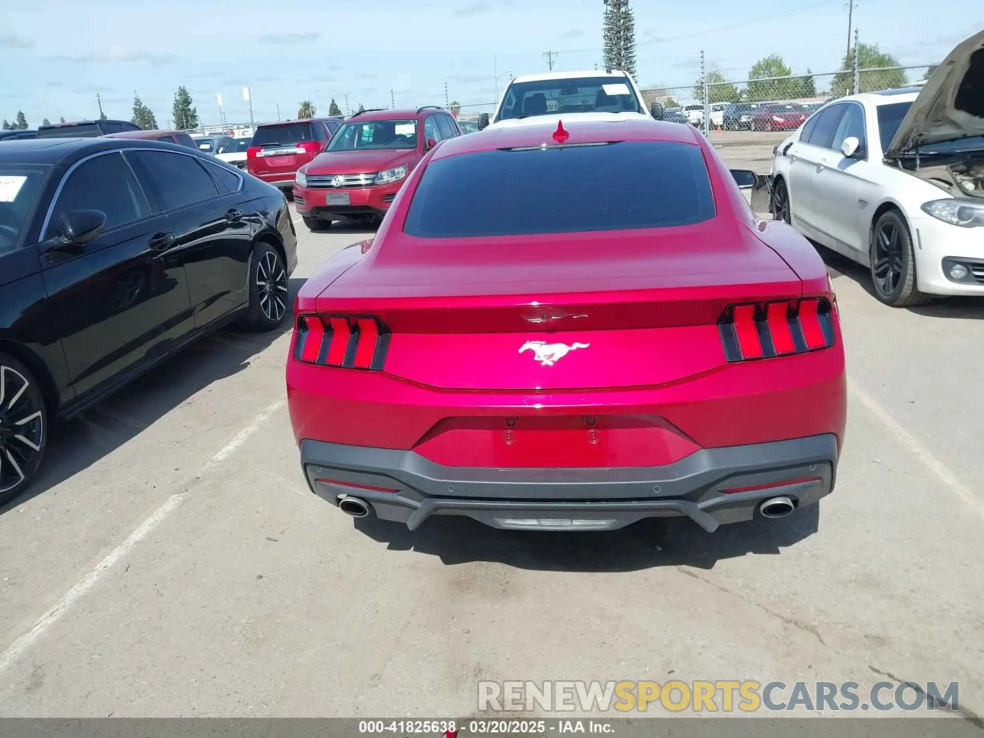17 fotografías del automóvil dañado 1FA6P8TH2R5137890 FORD MUSTANG 2024