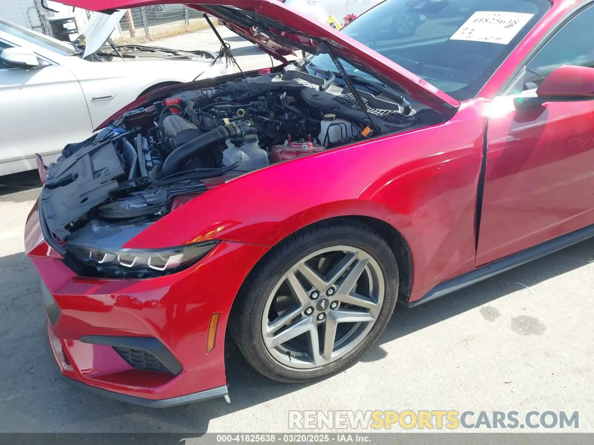 18 fotografías del automóvil dañado 1FA6P8TH2R5137890 FORD MUSTANG 2024