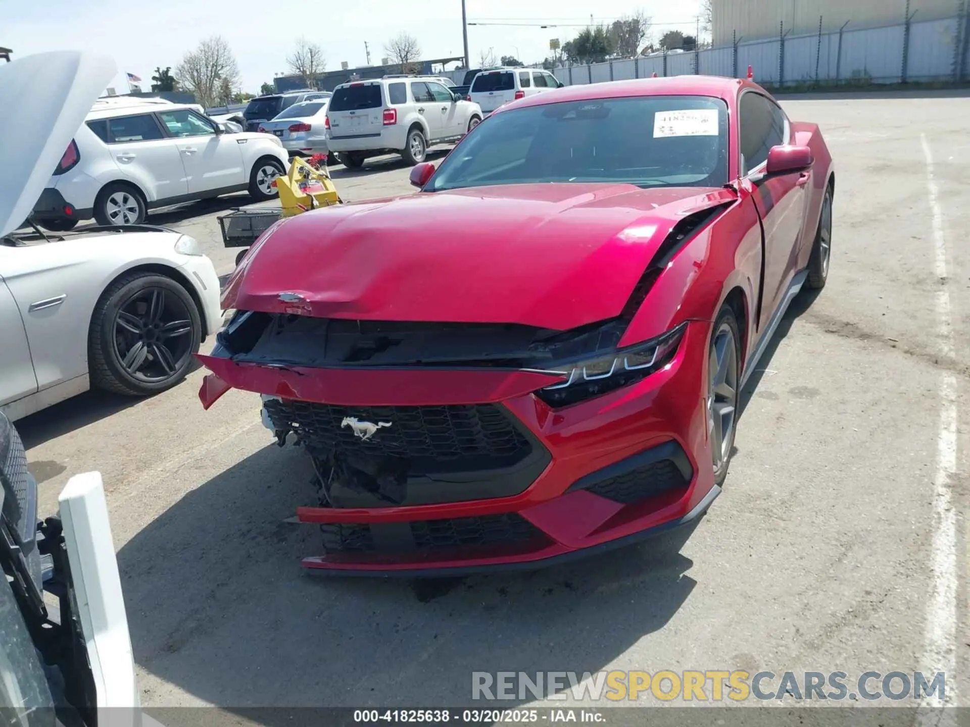 20 fotografías del automóvil dañado 1FA6P8TH2R5137890 FORD MUSTANG 2024