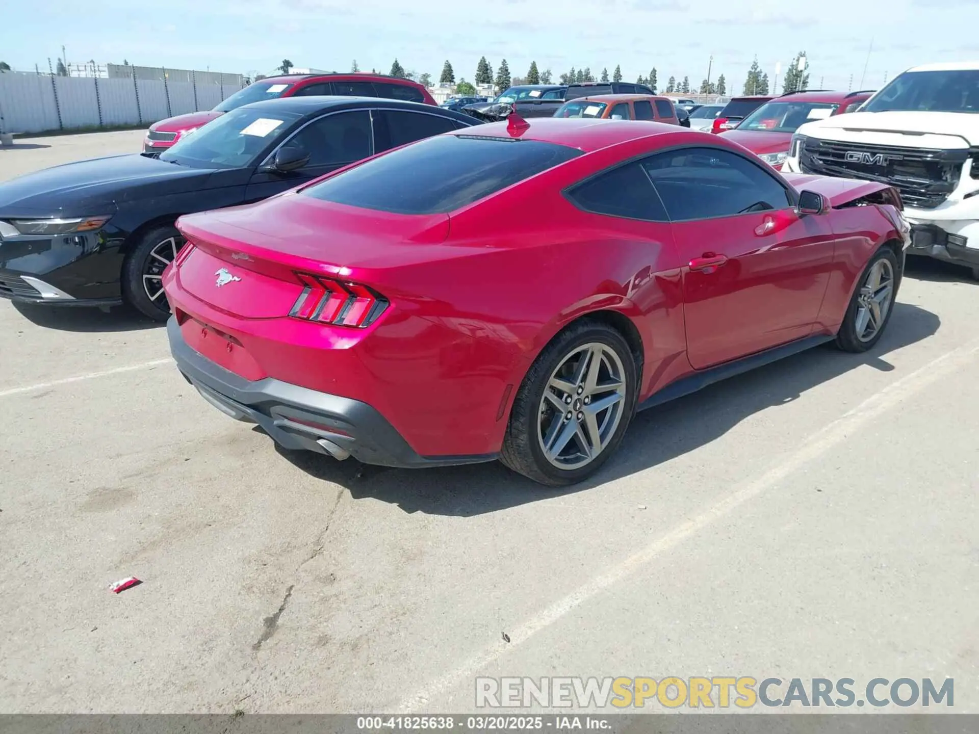 4 fotografías del automóvil dañado 1FA6P8TH2R5137890 FORD MUSTANG 2024