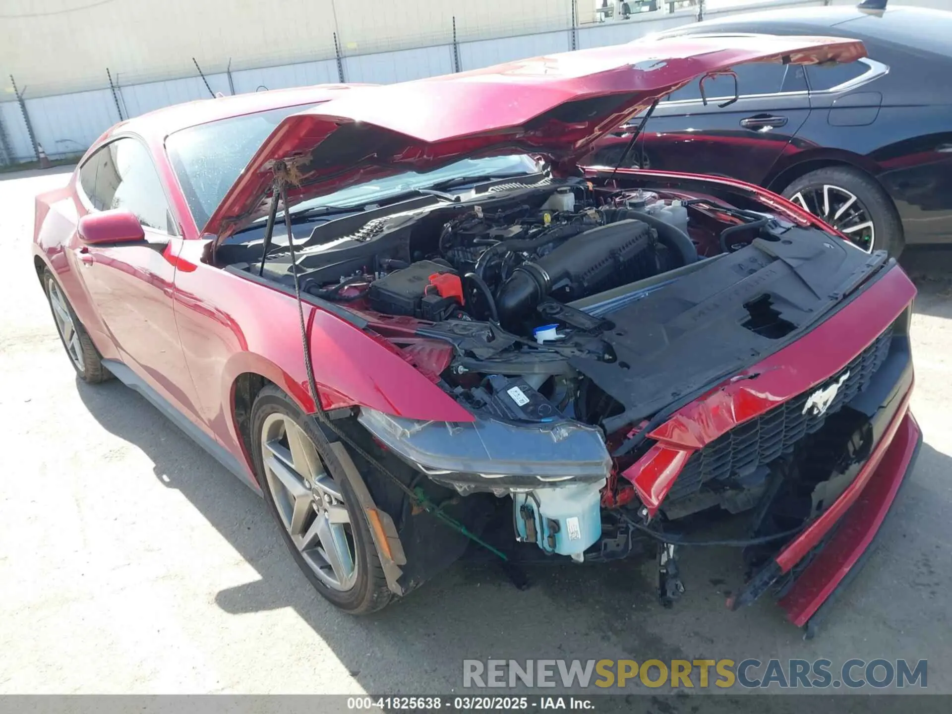 6 fotografías del automóvil dañado 1FA6P8TH2R5137890 FORD MUSTANG 2024