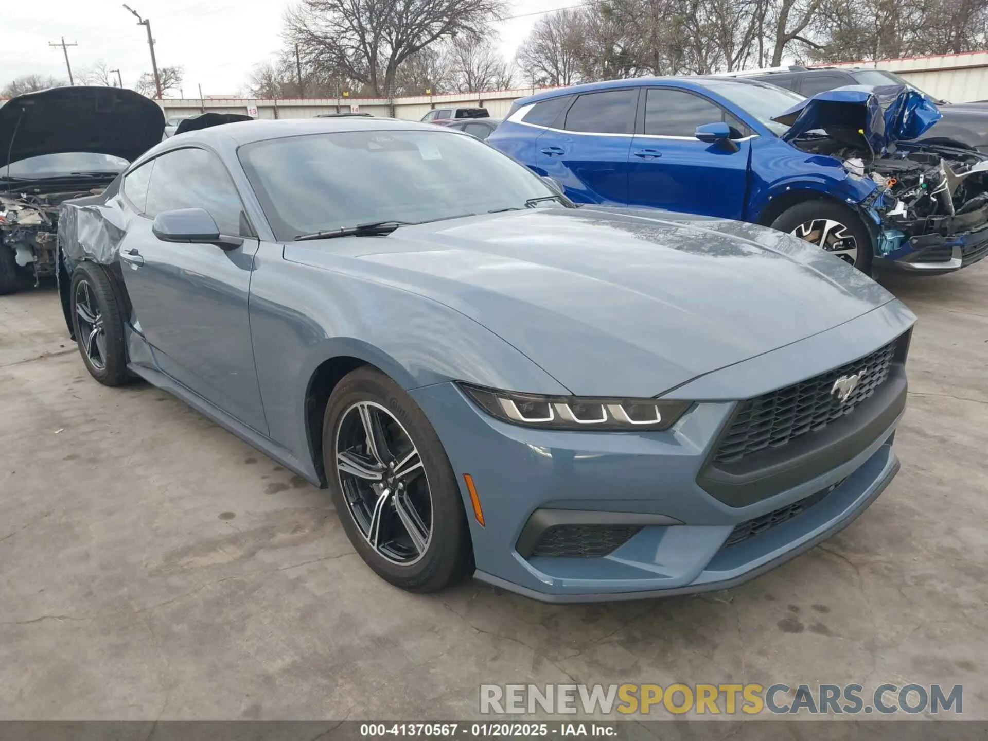 1 fotografías del automóvil dañado 1FA6P8TH2R5146587 FORD MUSTANG 2024