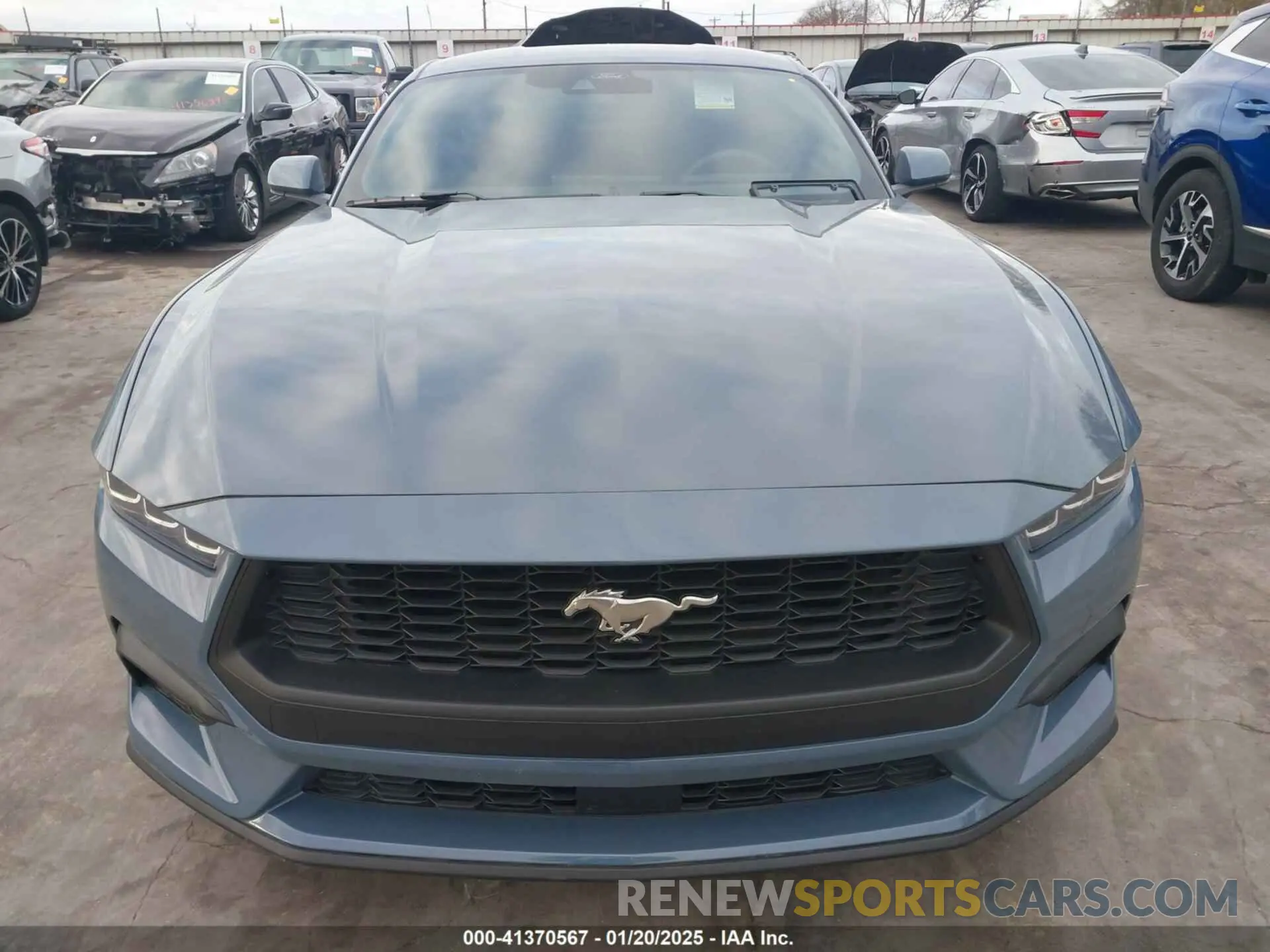 12 fotografías del automóvil dañado 1FA6P8TH2R5146587 FORD MUSTANG 2024