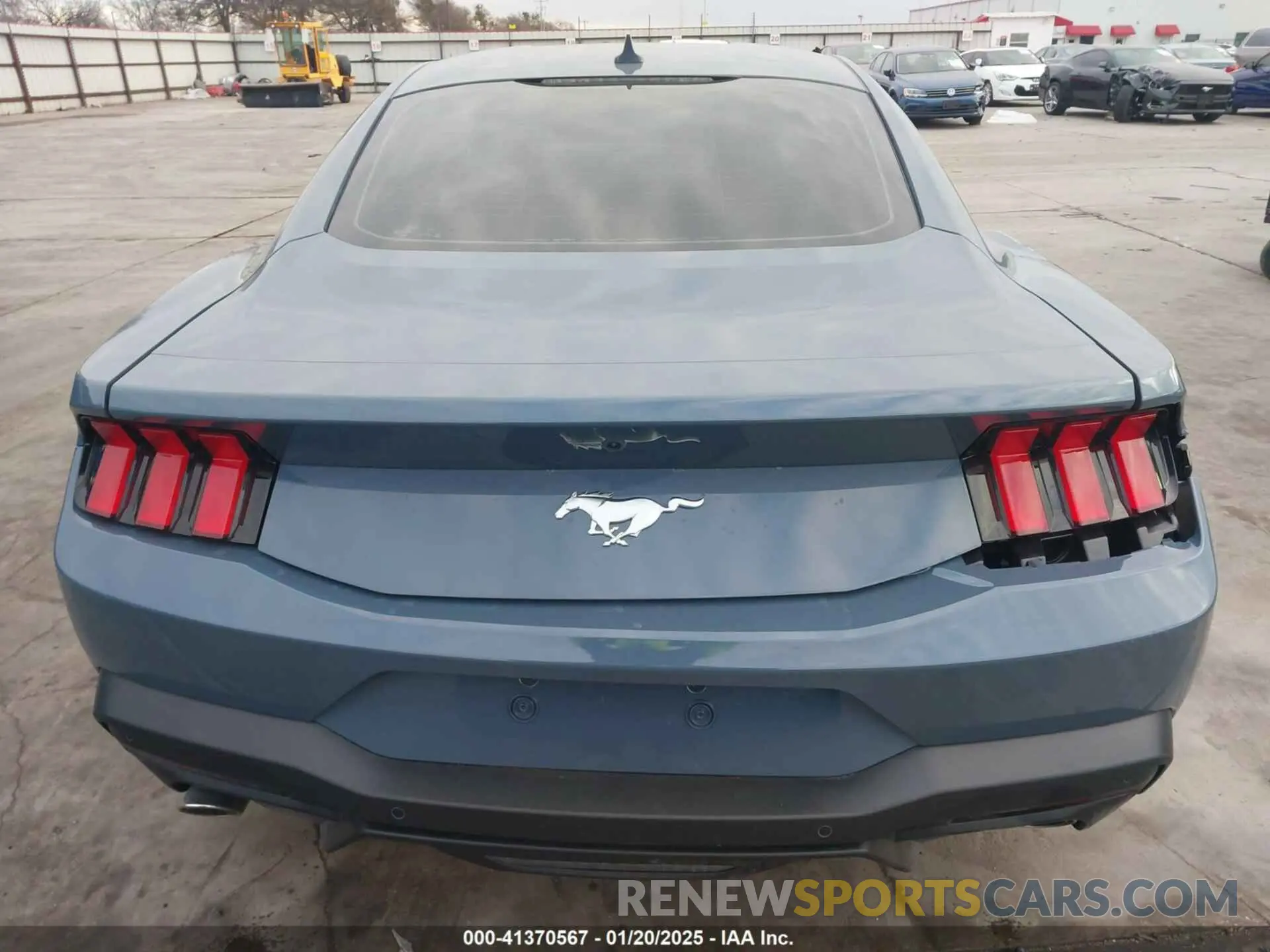 16 fotografías del automóvil dañado 1FA6P8TH2R5146587 FORD MUSTANG 2024