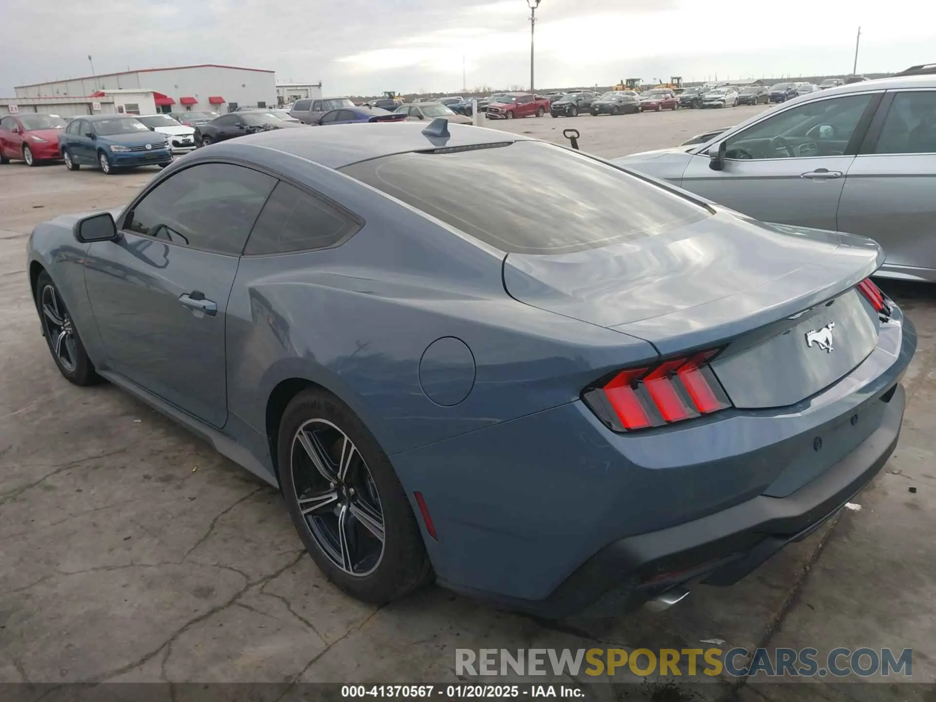 3 fotografías del automóvil dañado 1FA6P8TH2R5146587 FORD MUSTANG 2024