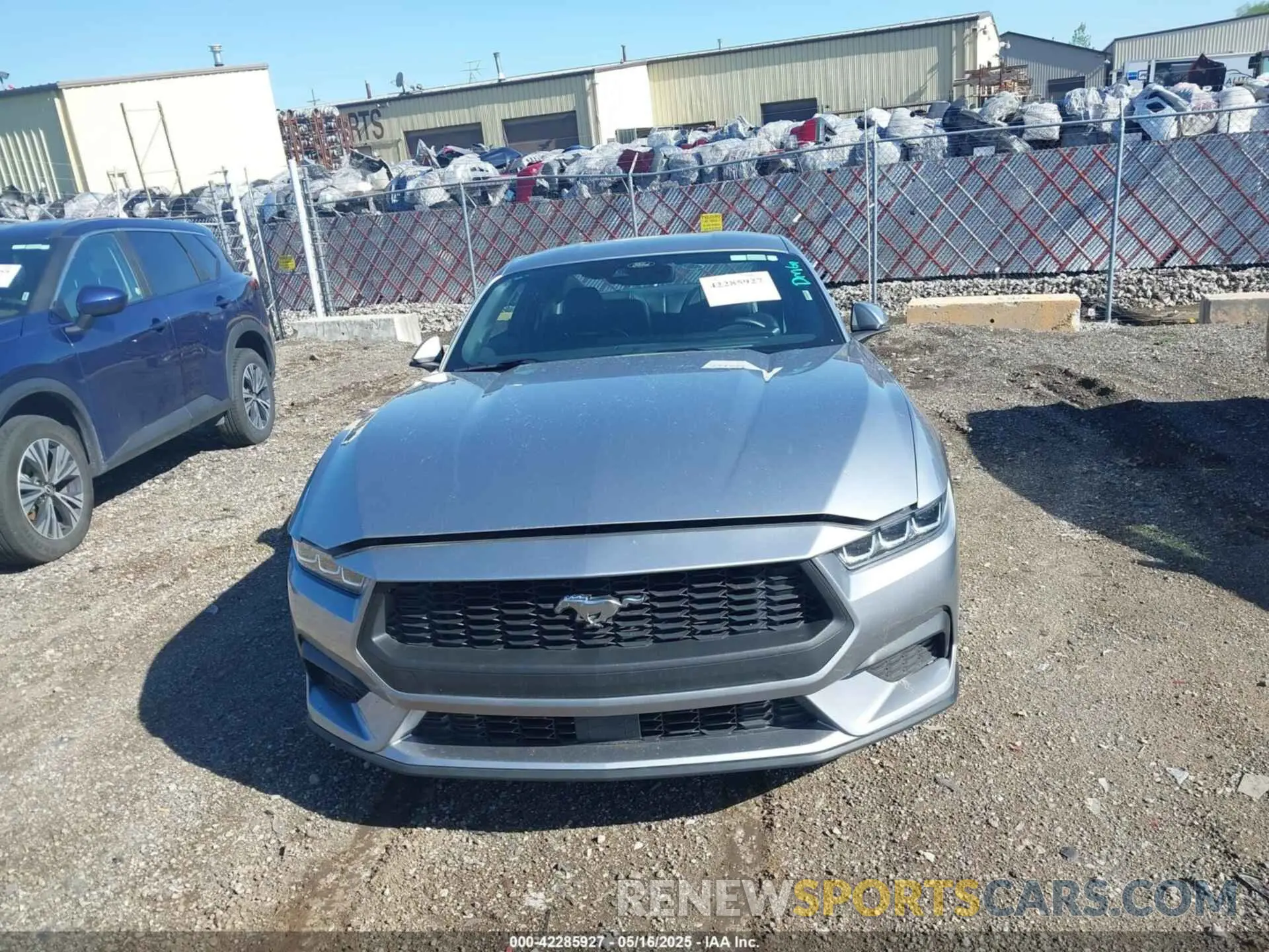 12 fotografías del automóvil dañado 1FA6P8TH3R5130365 FORD MUSTANG 2024