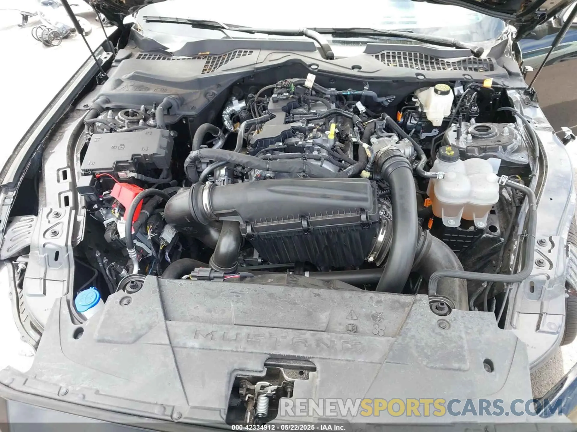 10 fotografías del automóvil dañado 1FA6P8TH3R5138370 FORD MUSTANG 2024