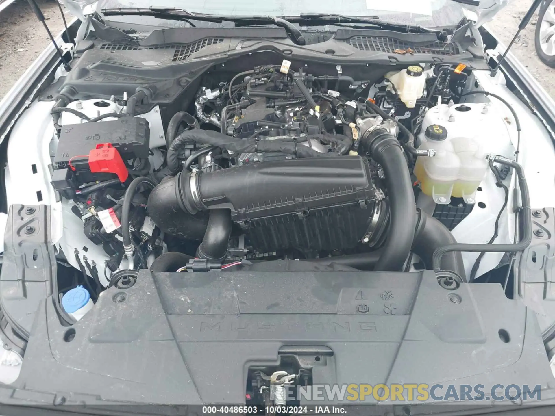 10 fotografías del automóvil dañado 1FA6P8TH6R5117609 FORD MUSTANG 2024