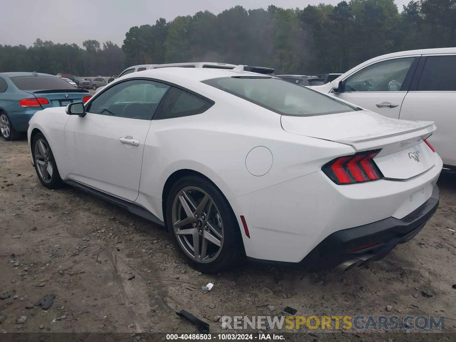 3 fotografías del automóvil dañado 1FA6P8TH6R5117609 FORD MUSTANG 2024