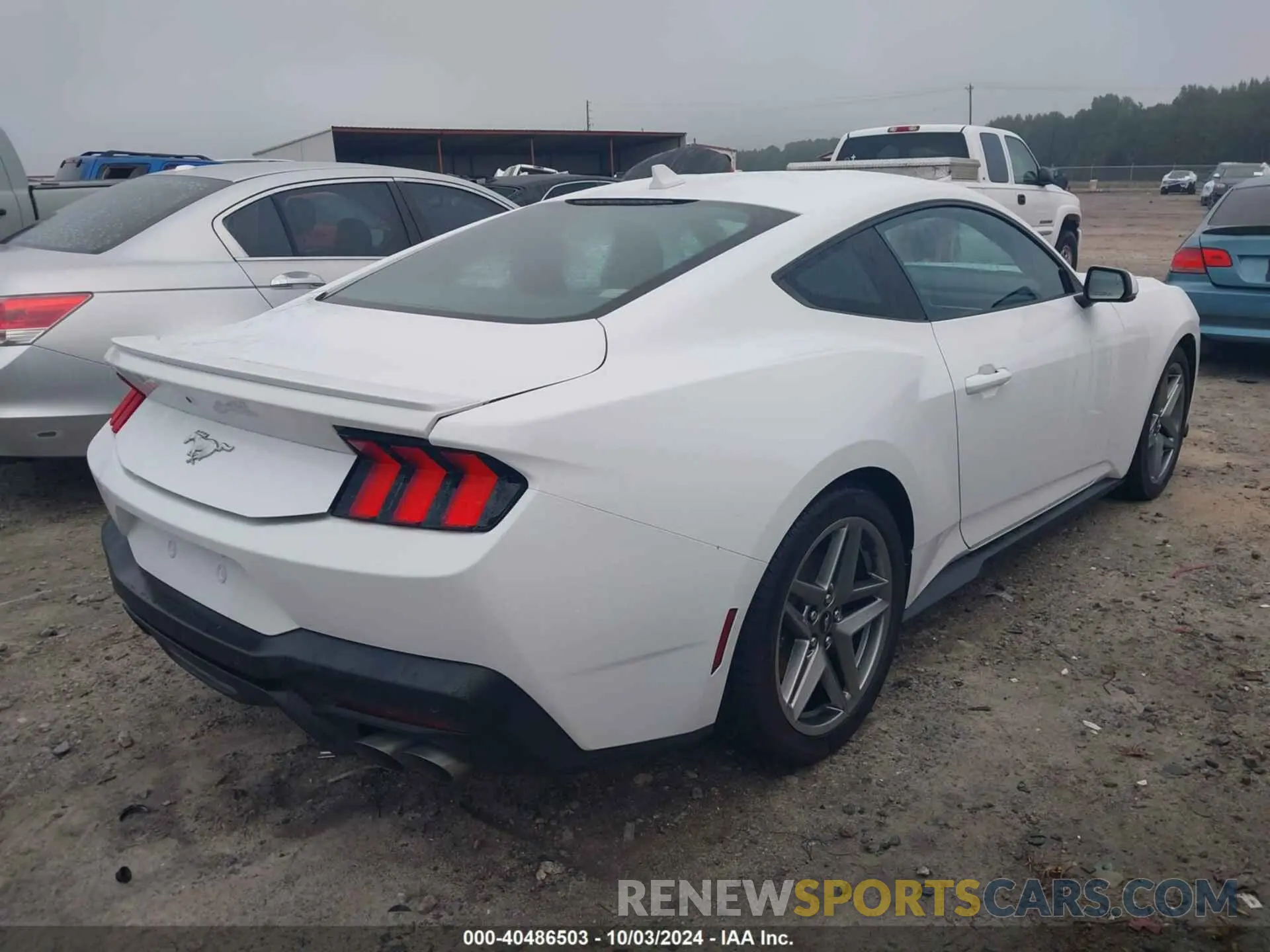4 fotografías del automóvil dañado 1FA6P8TH6R5117609 FORD MUSTANG 2024