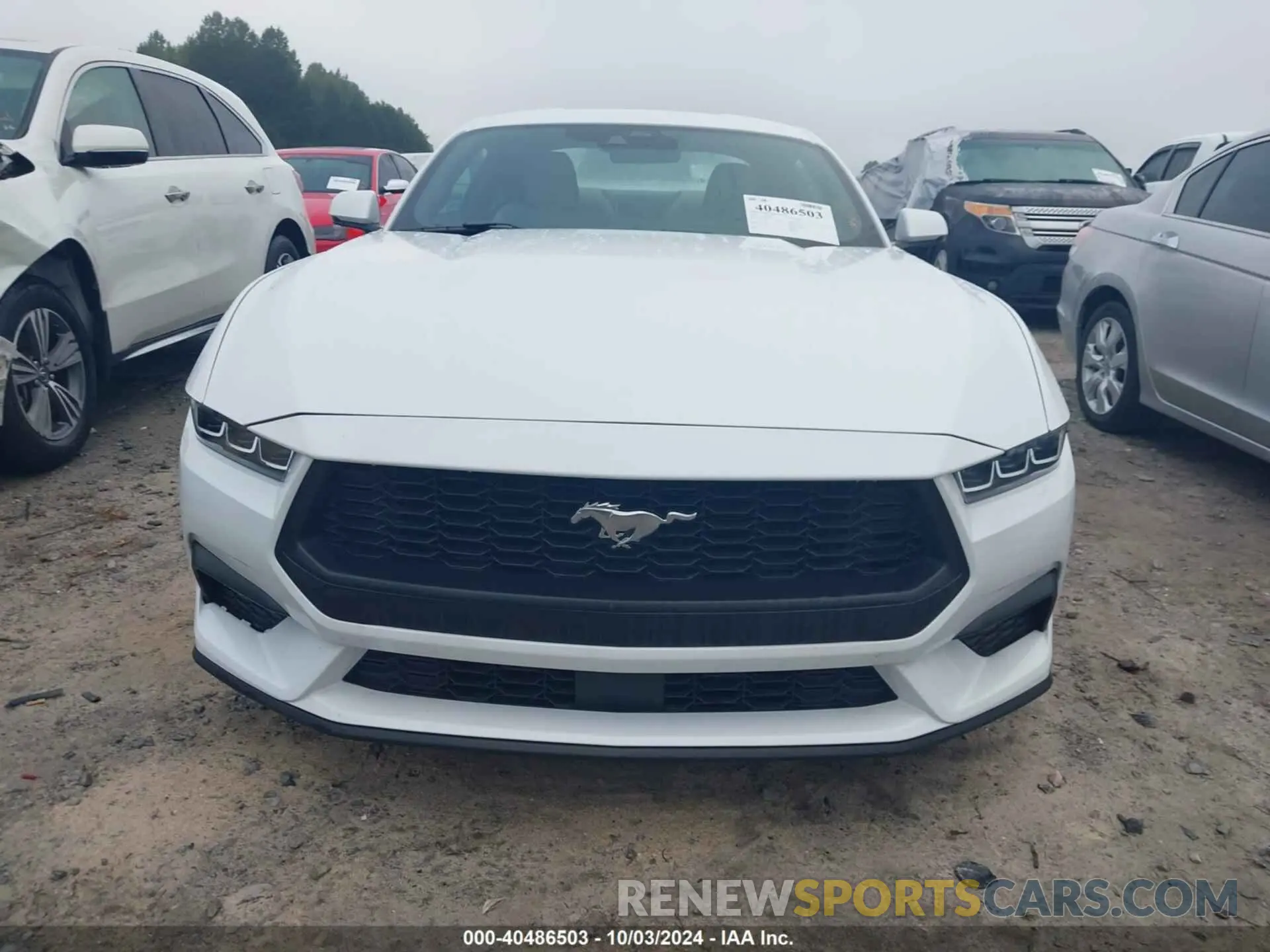 6 fotografías del automóvil dañado 1FA6P8TH6R5117609 FORD MUSTANG 2024